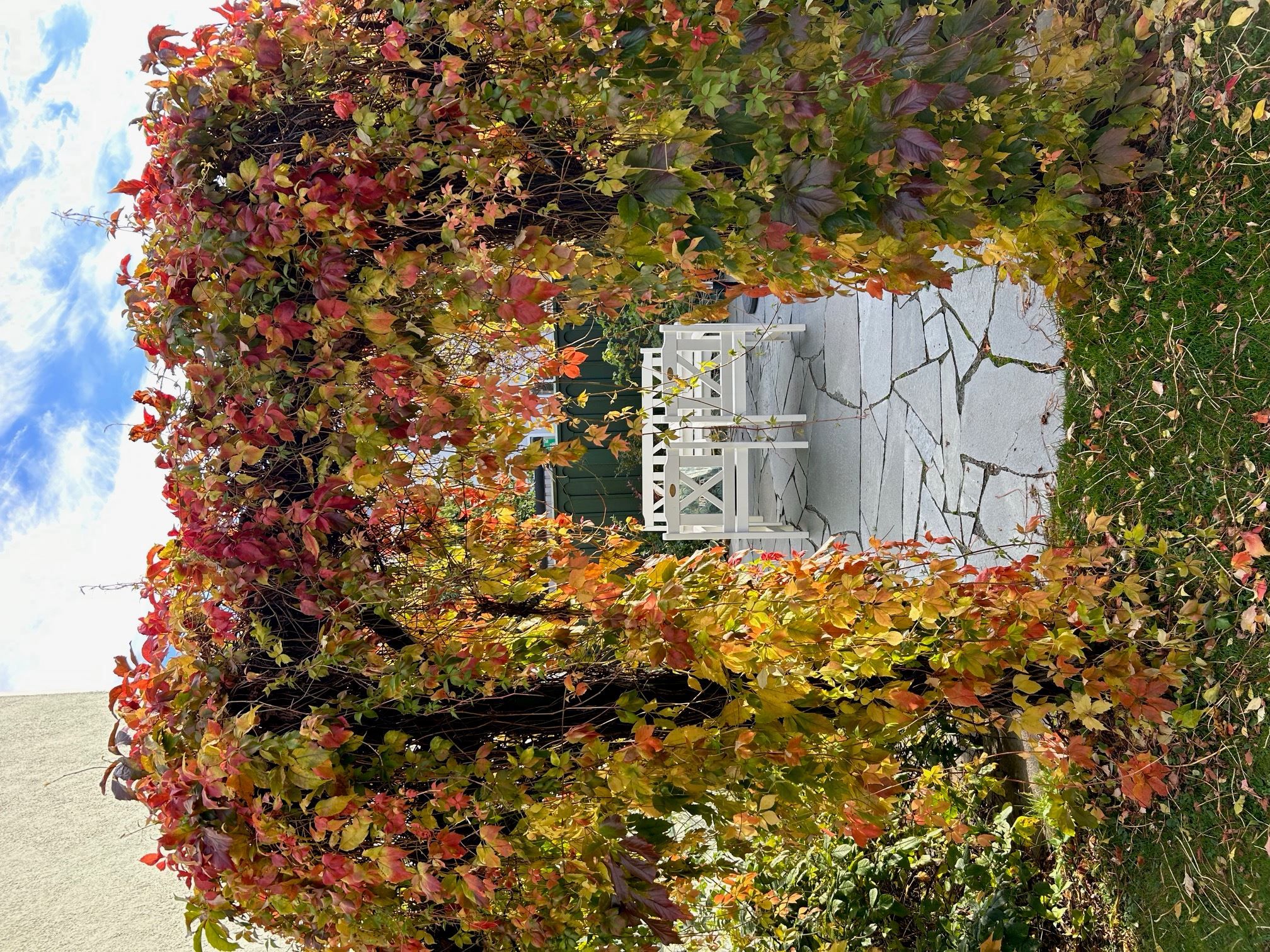 Säljarens egna bilder