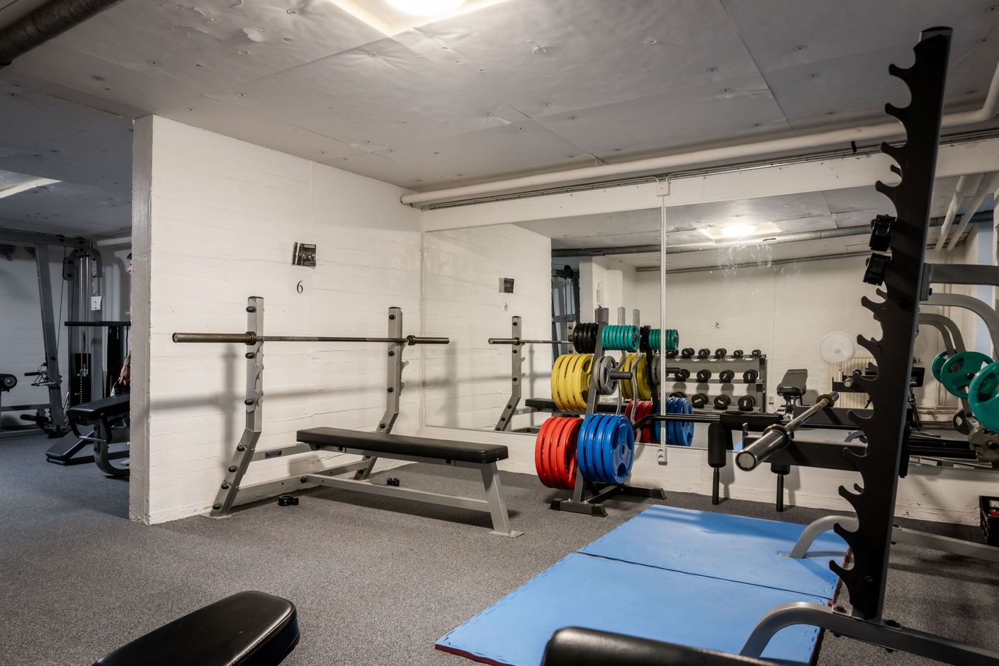 Gym