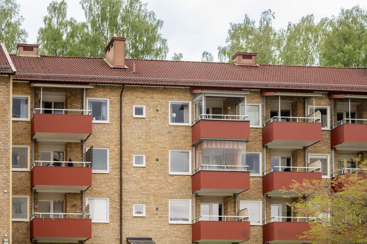 Exteriör