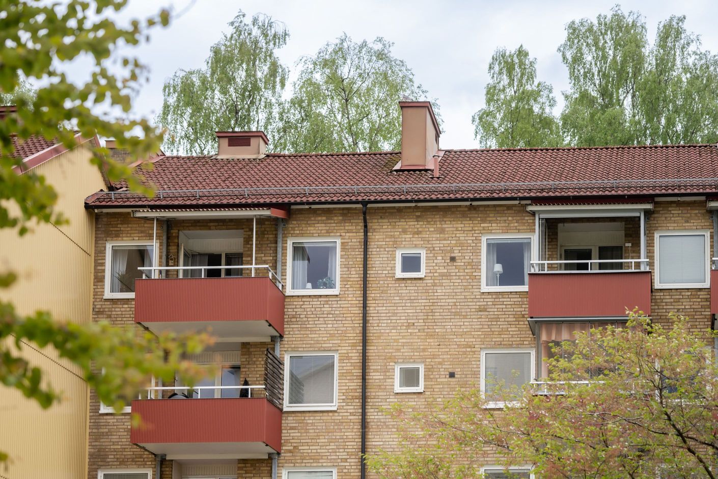 Exteriör
