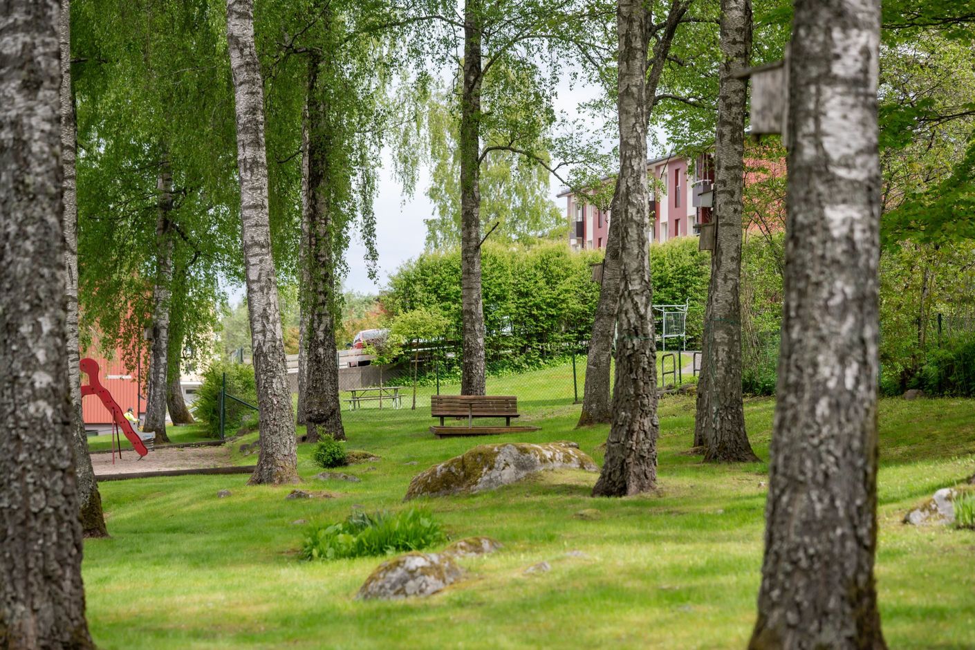 Exteriör