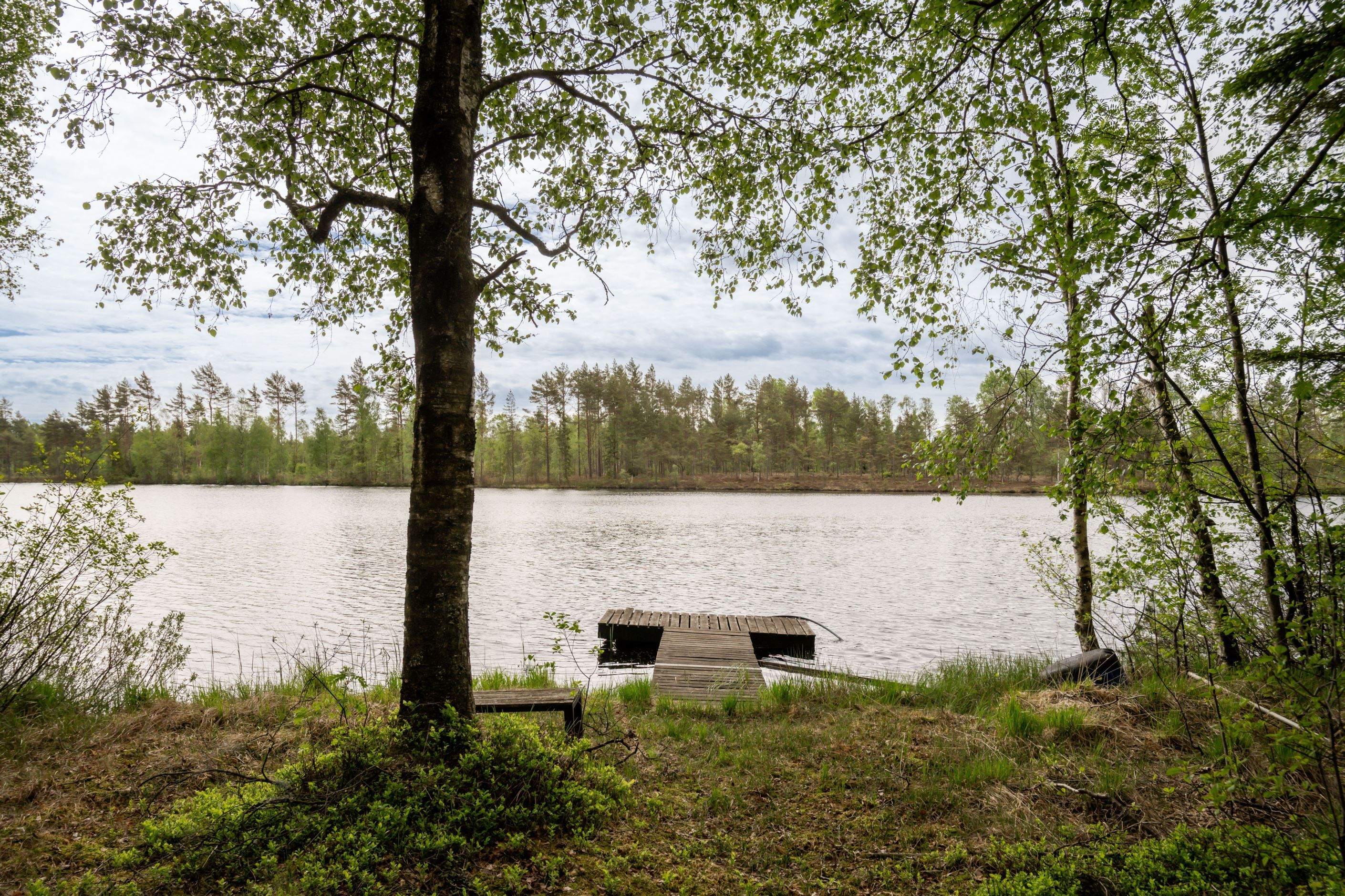 Områdesbild