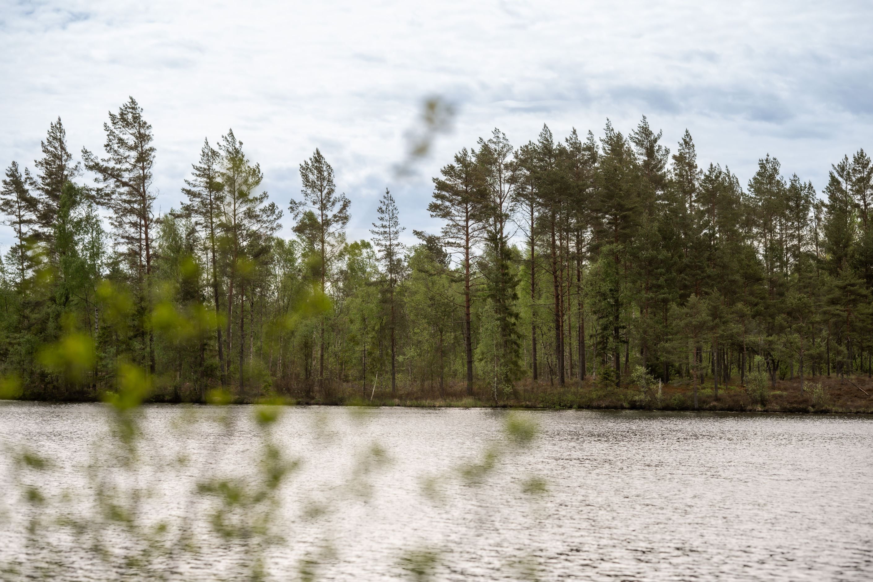 Områdesbild