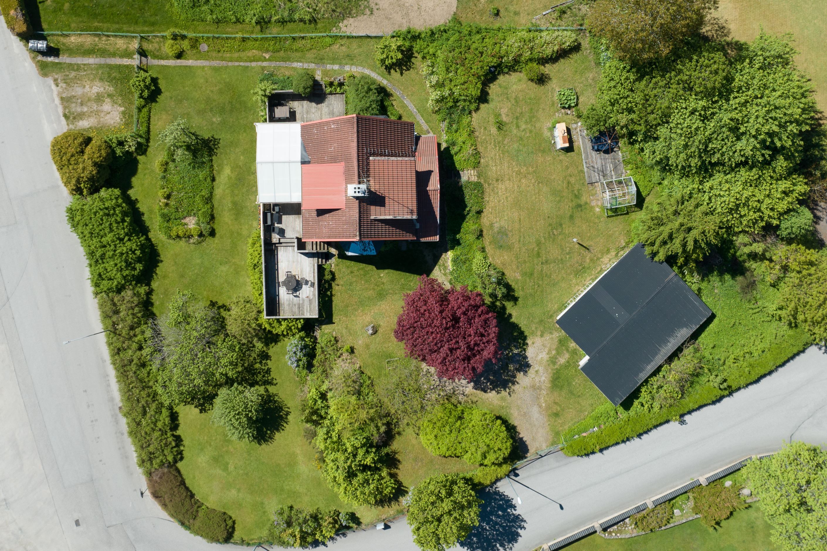 Trädgård