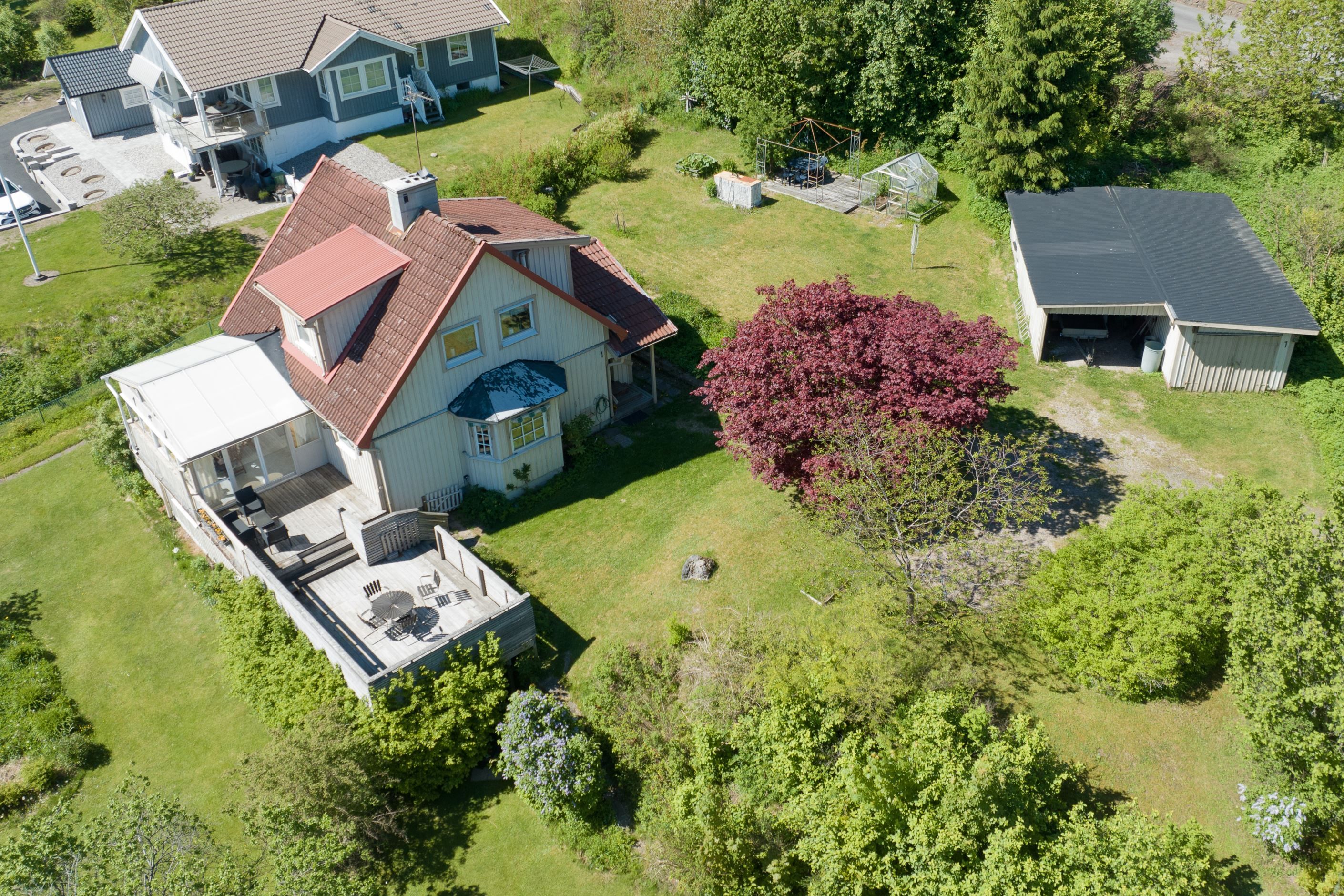 Exteriör