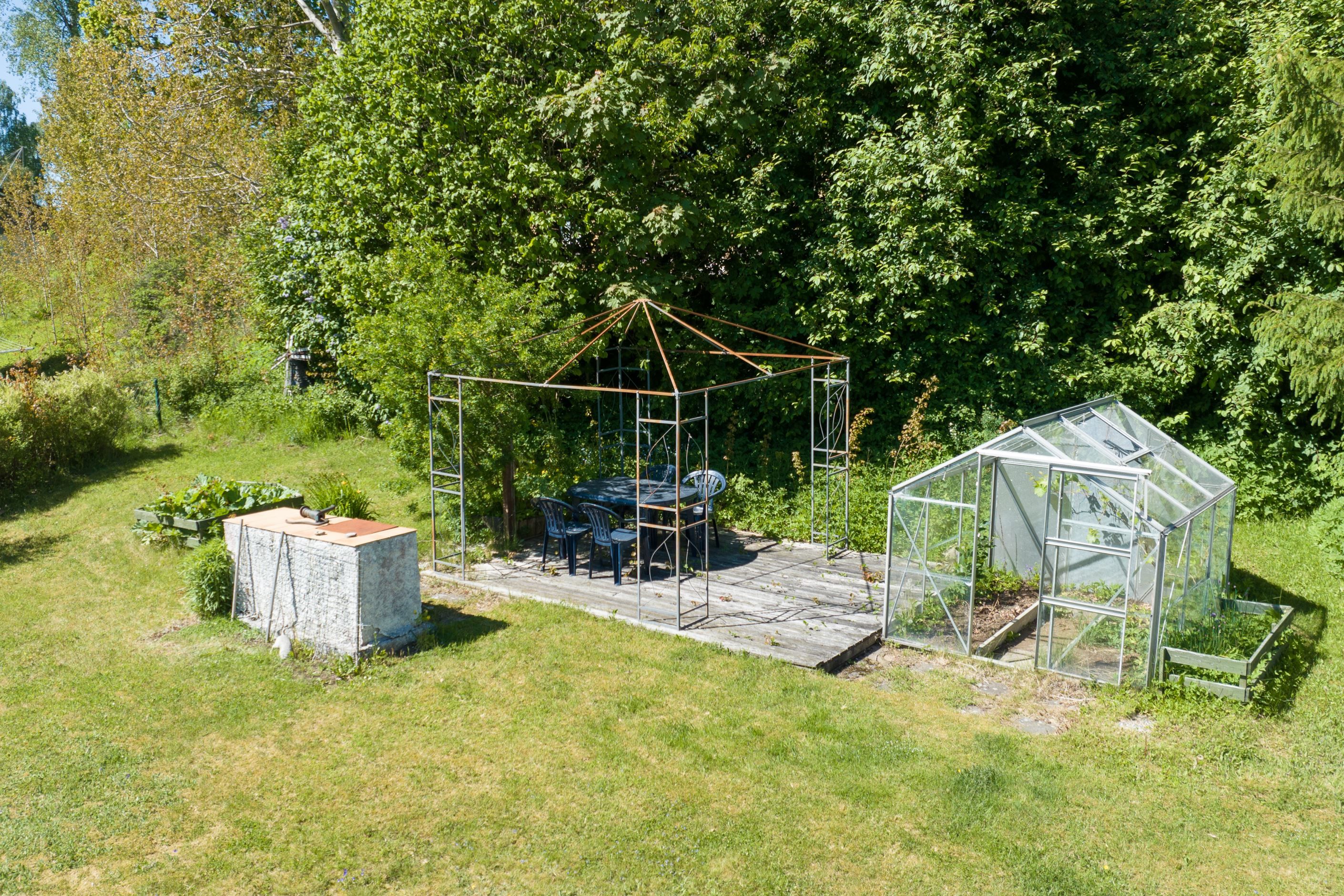 Trädgård
