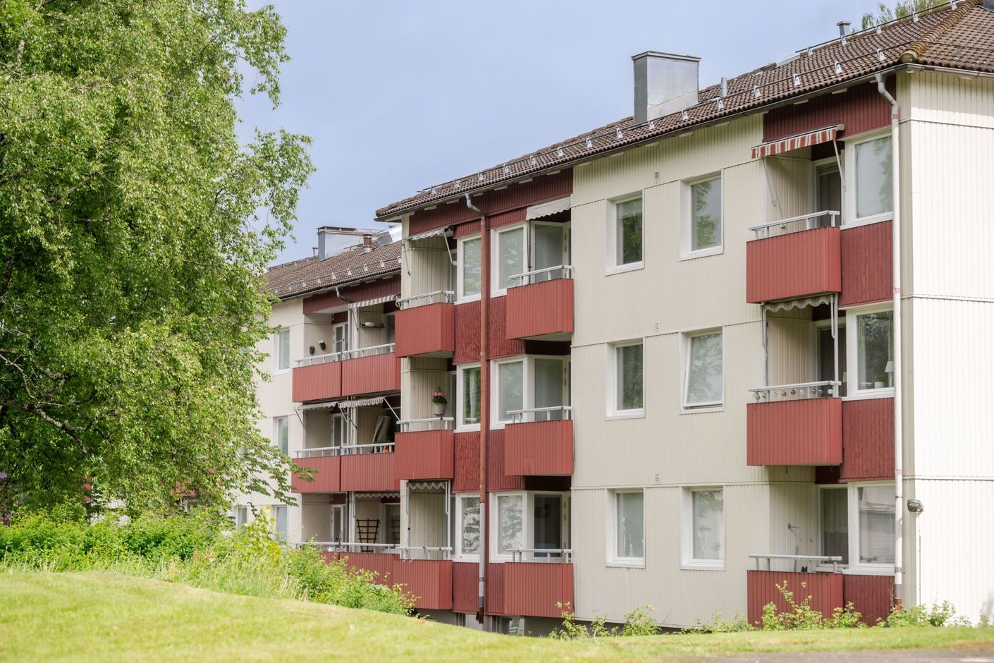 Exteriör