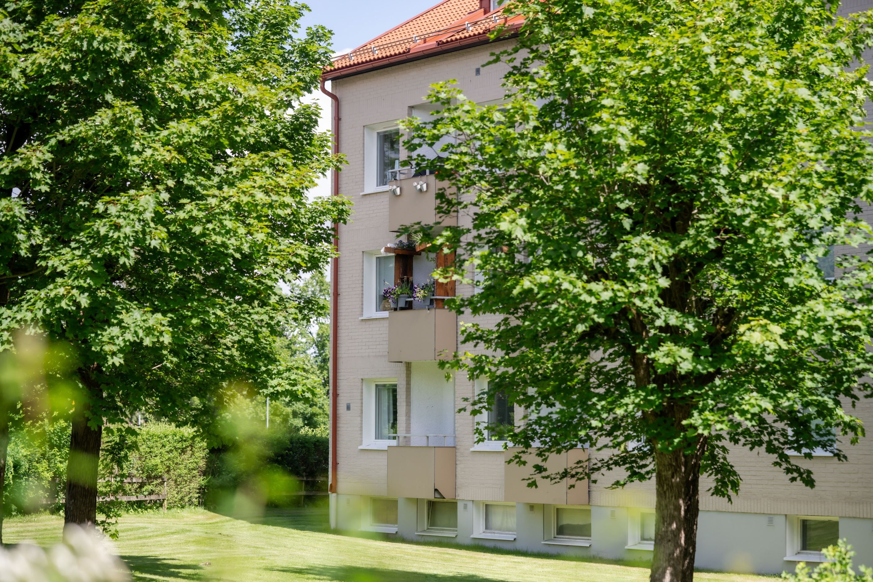 Exteriör