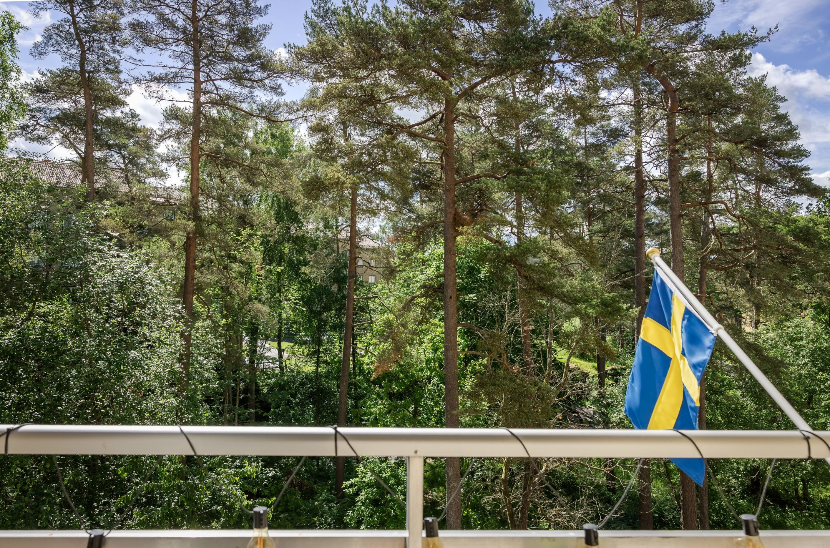 Utsikt