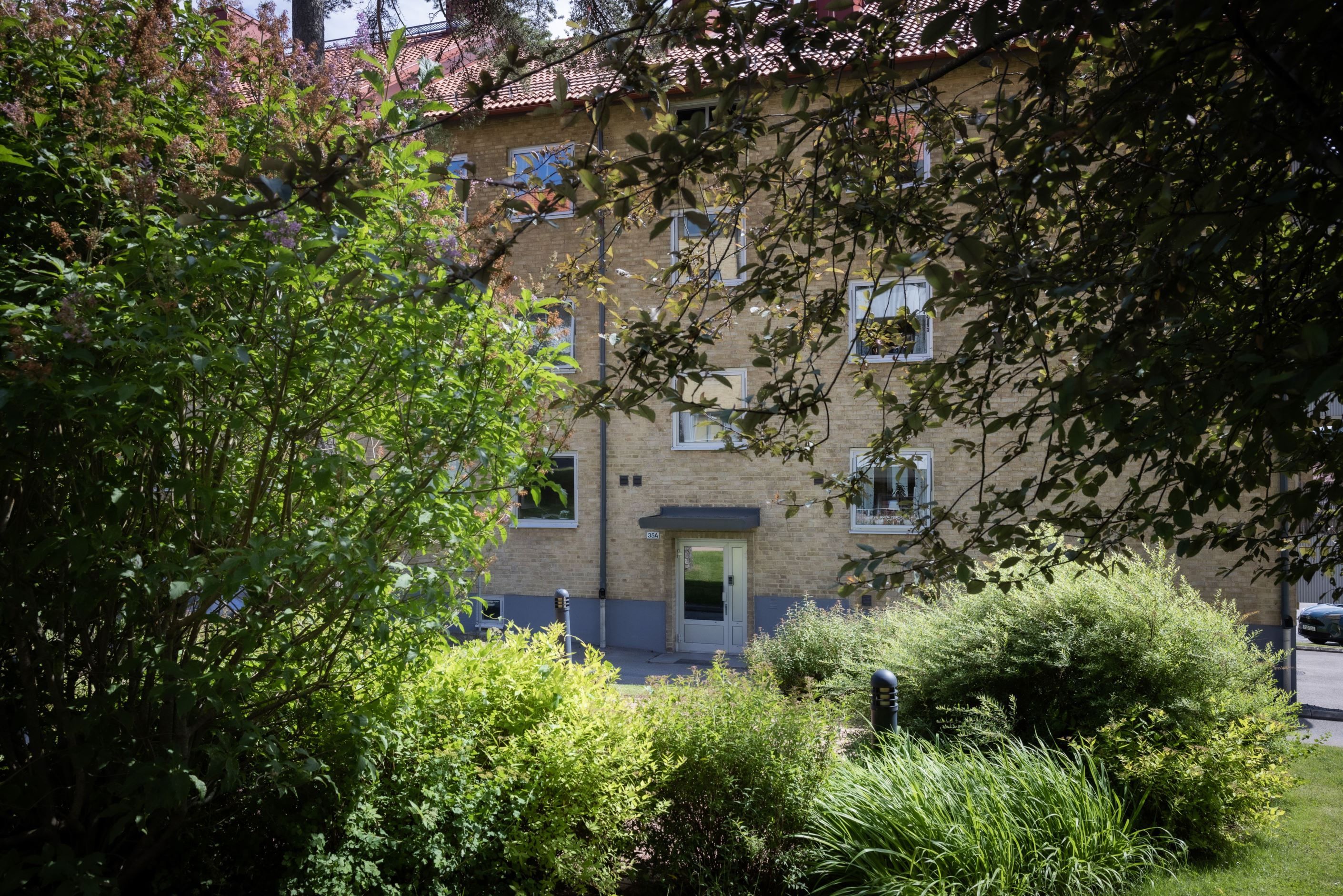 Exteriör