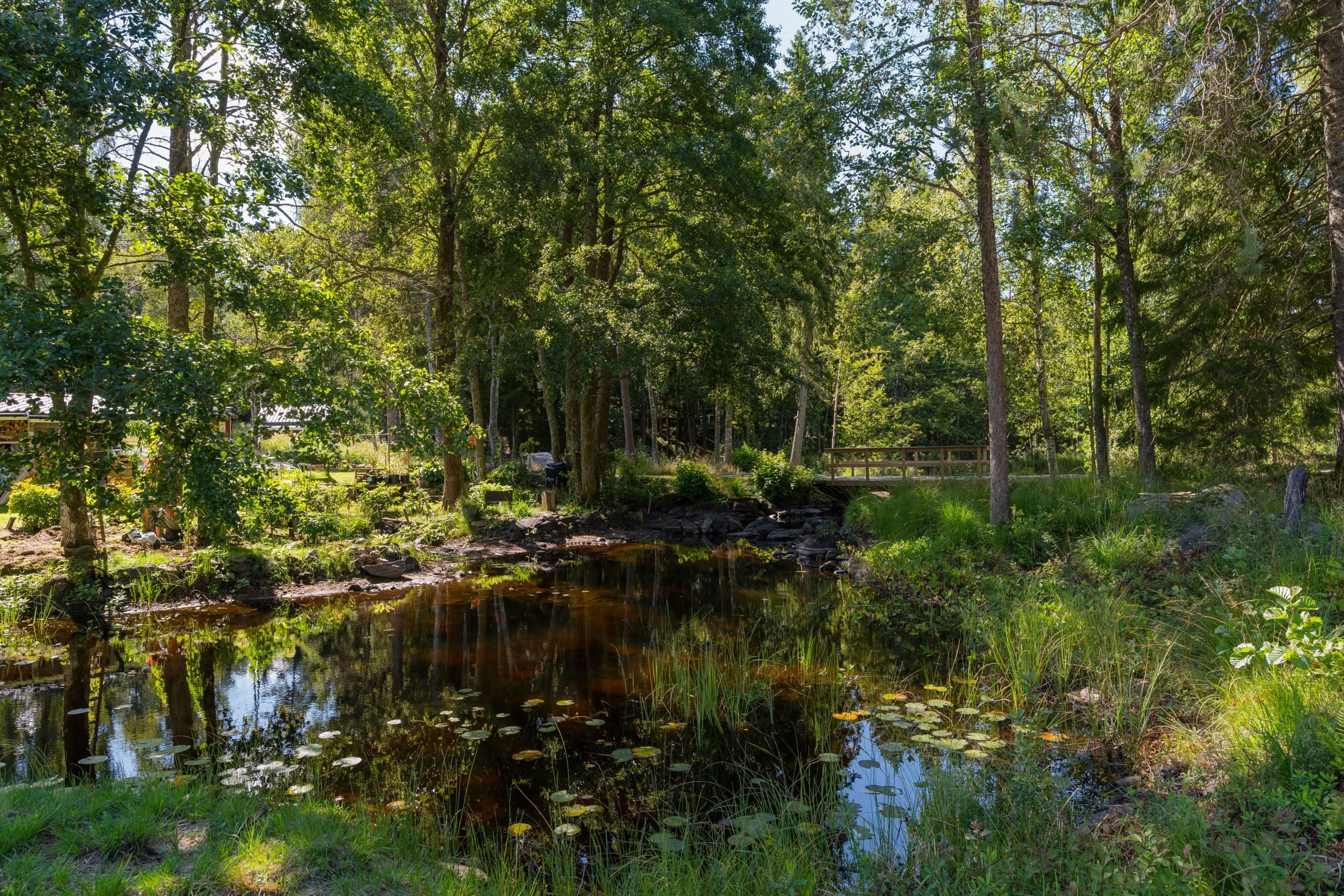 Områdesbild