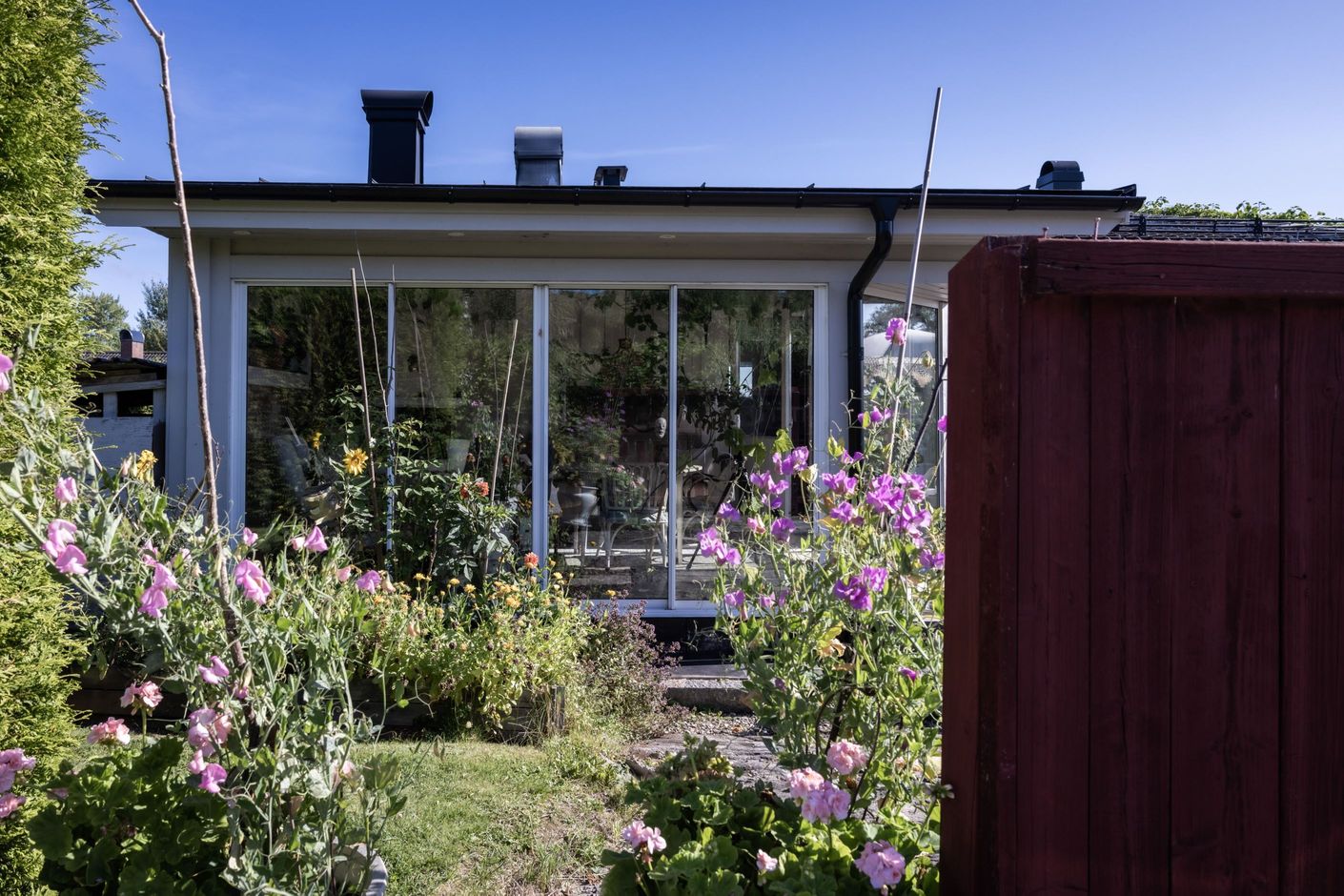 Trädgård