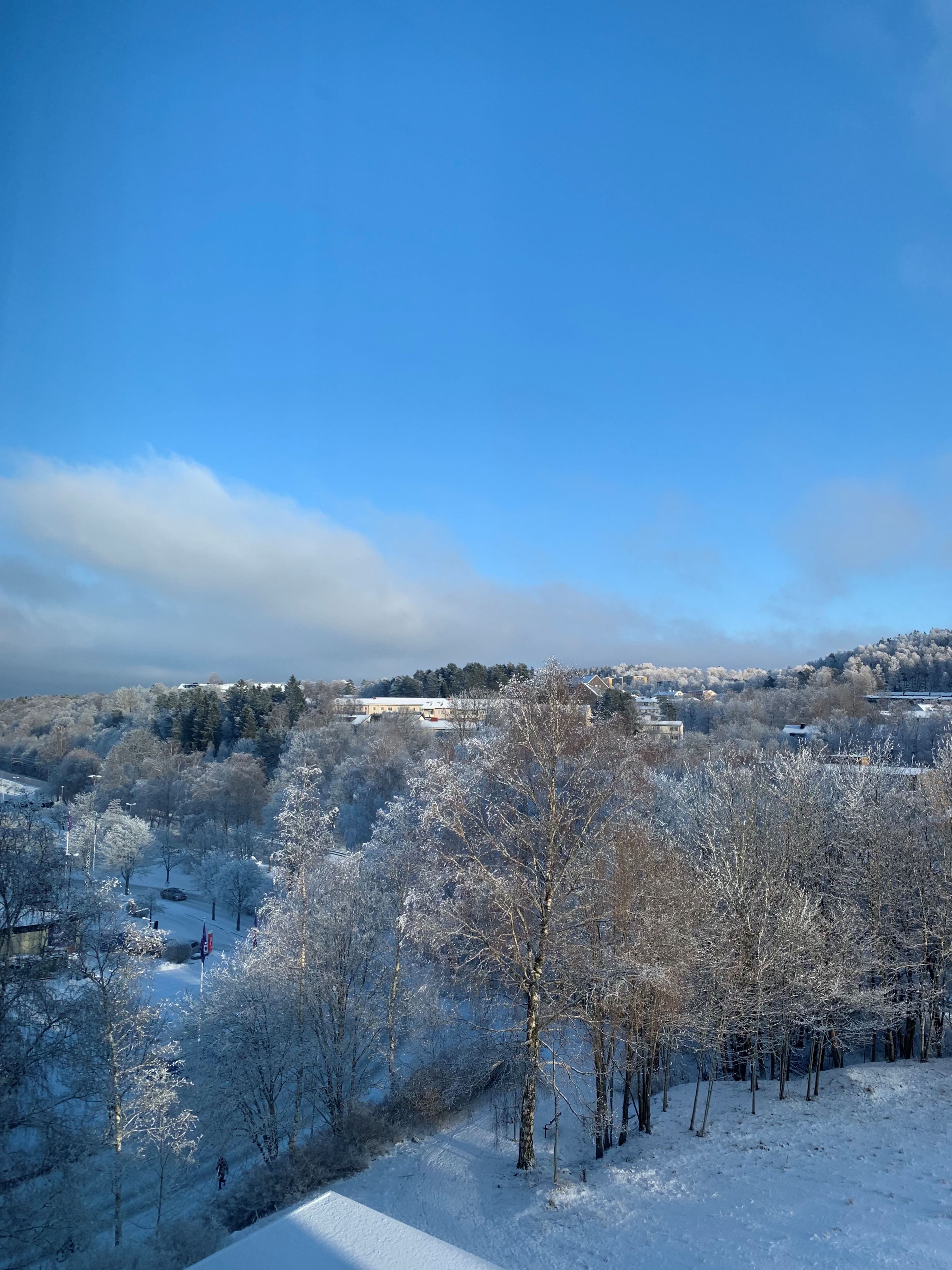 Säljarens egna bild