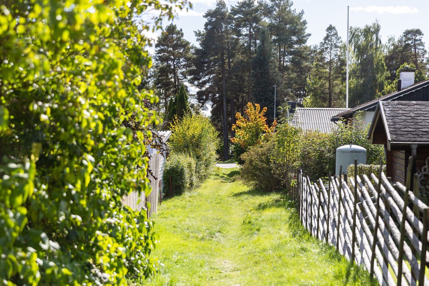 Stigen ner till sjön.