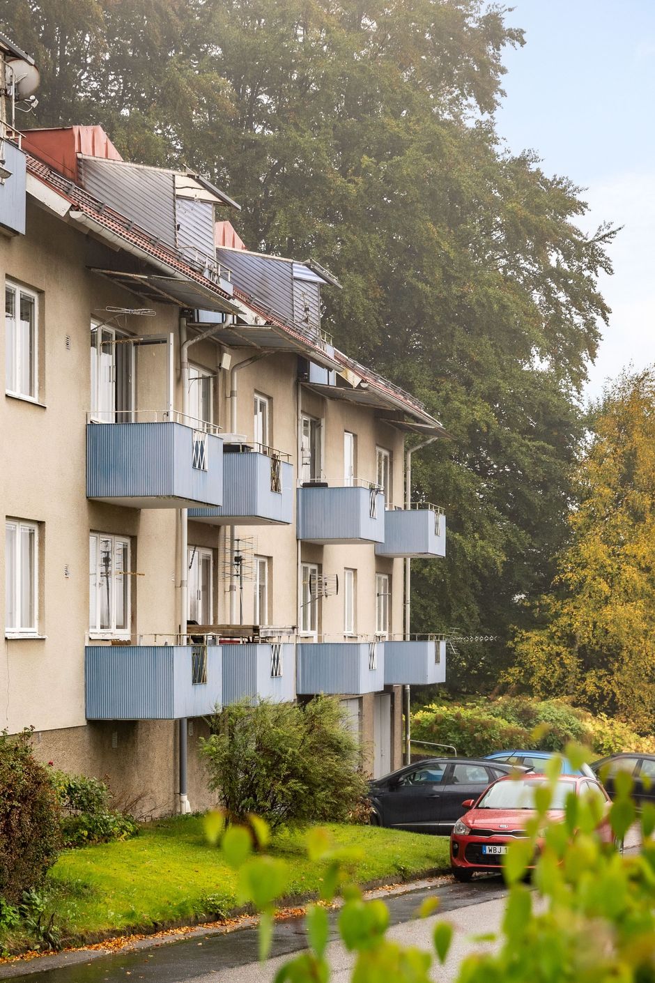 Exteriör