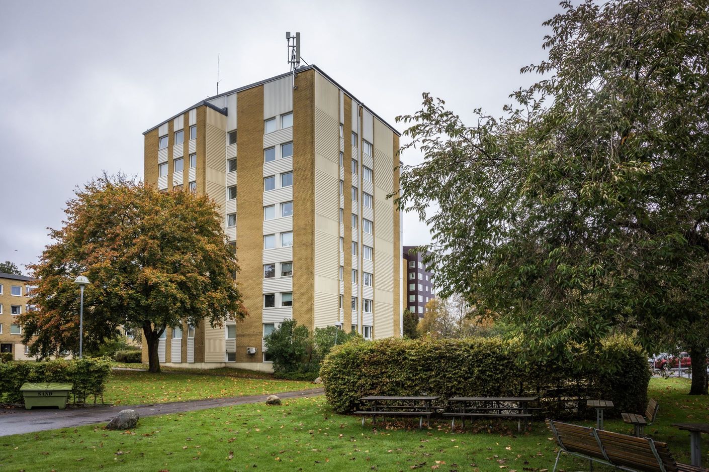 Exteriör
