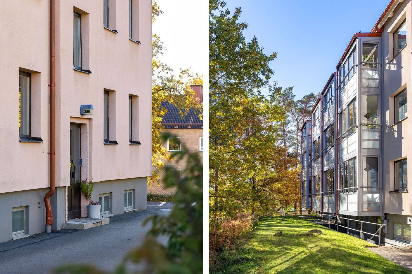 Exteriör