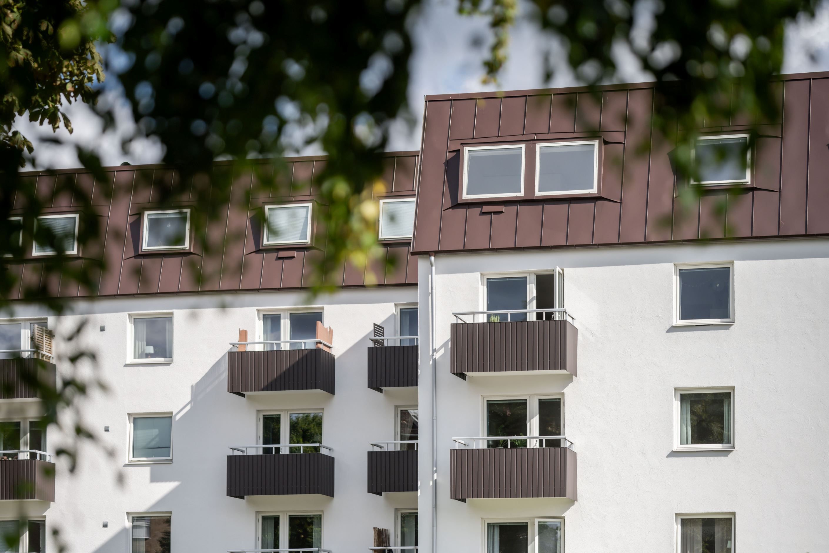 Exteriör