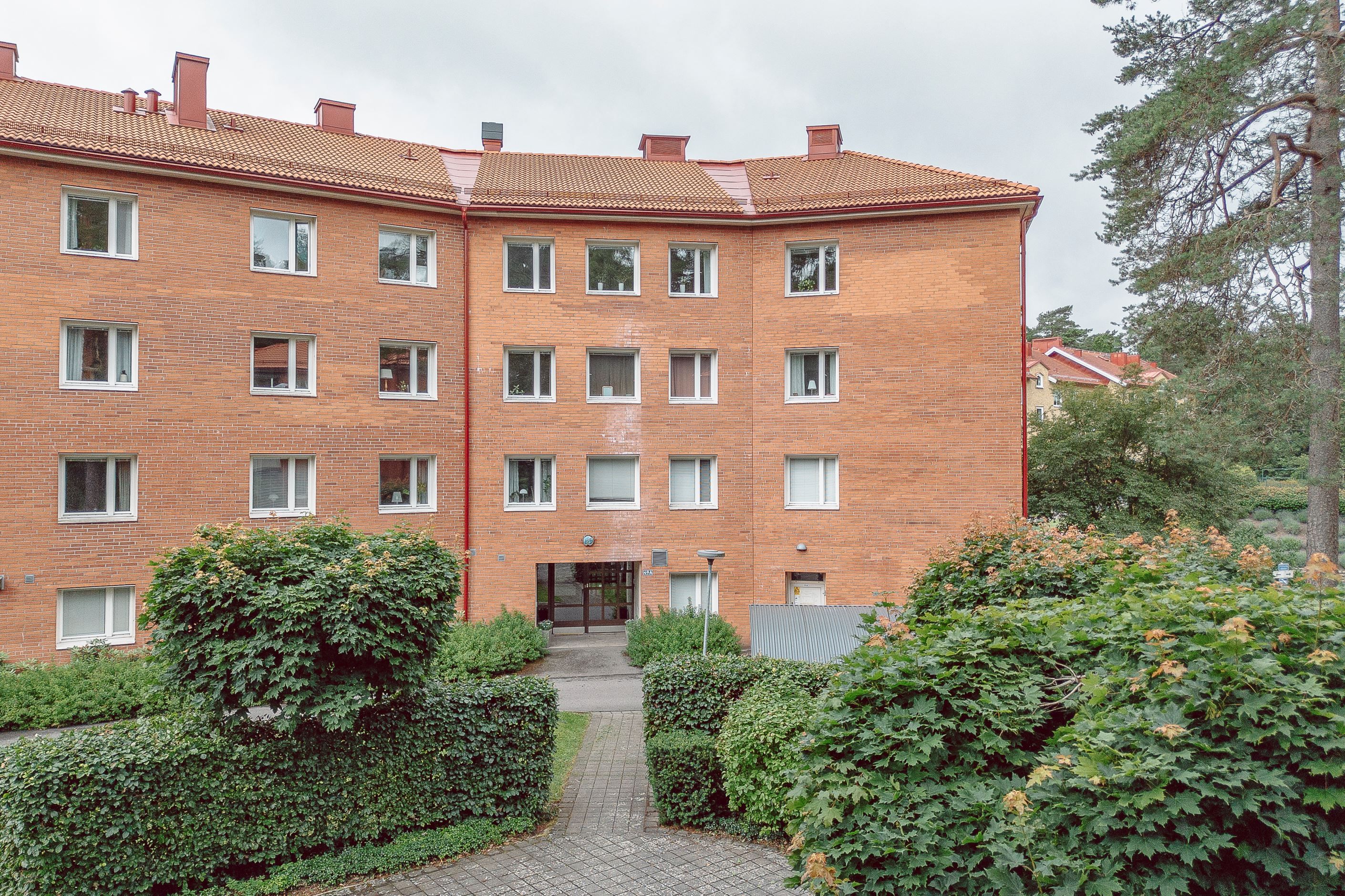 Exteriör