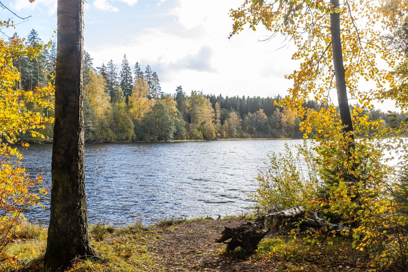 Pickesjön