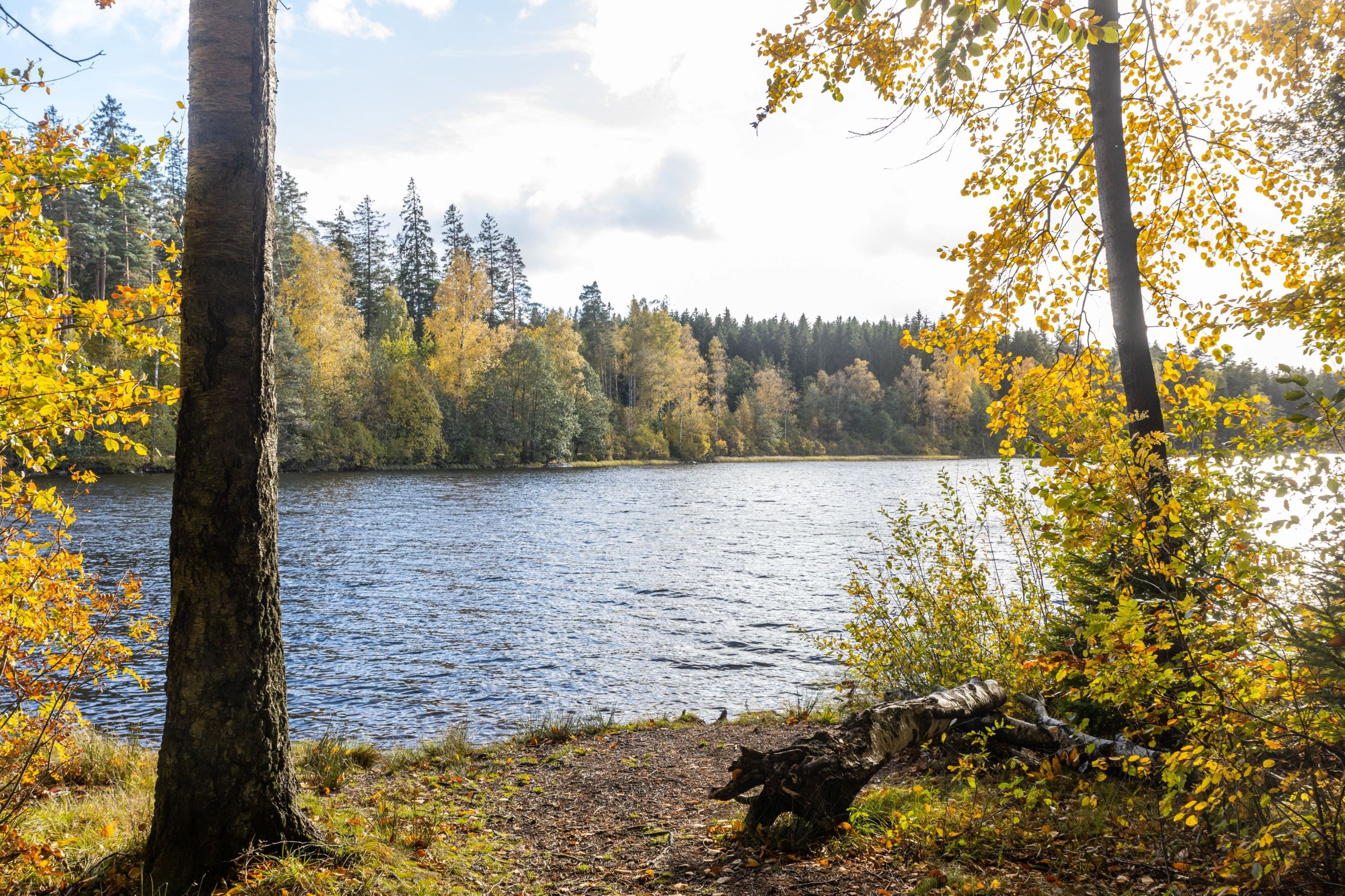 Pickesjön