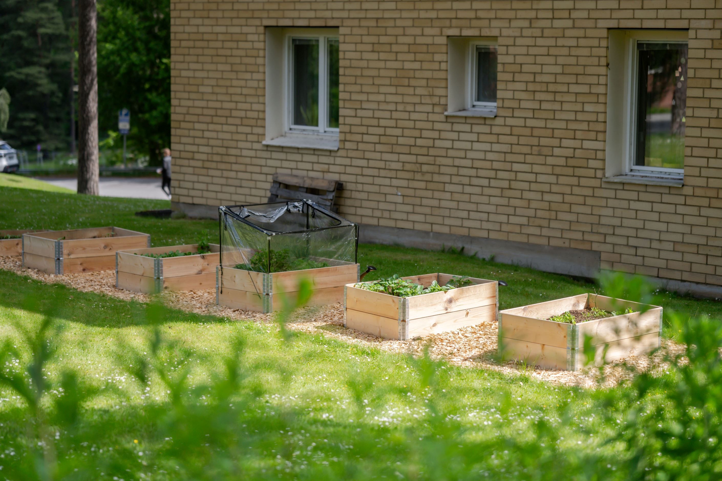 Exteriör
