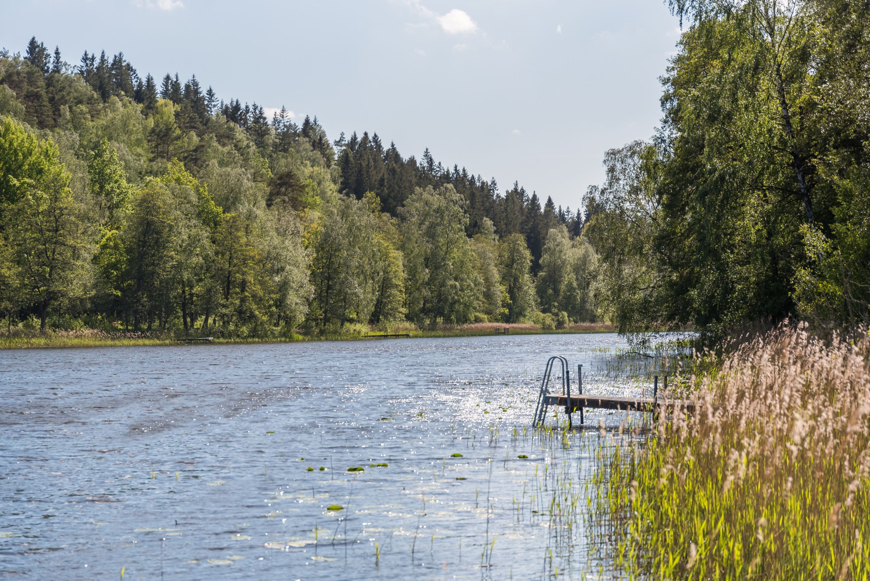 Byttorpssjön