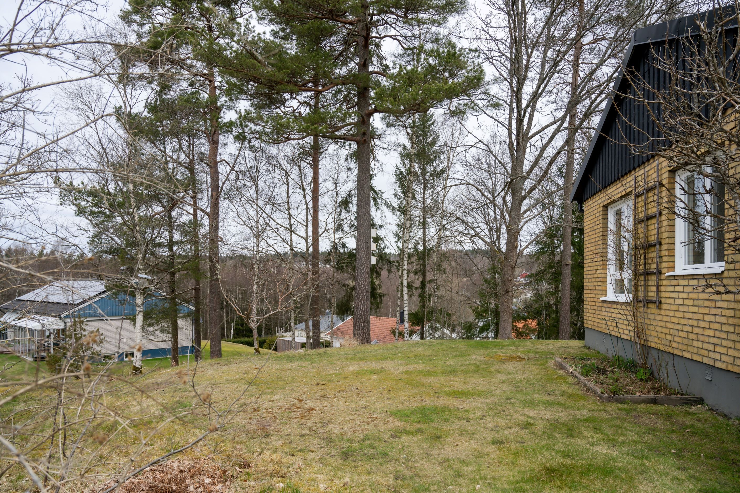 Områdesbild