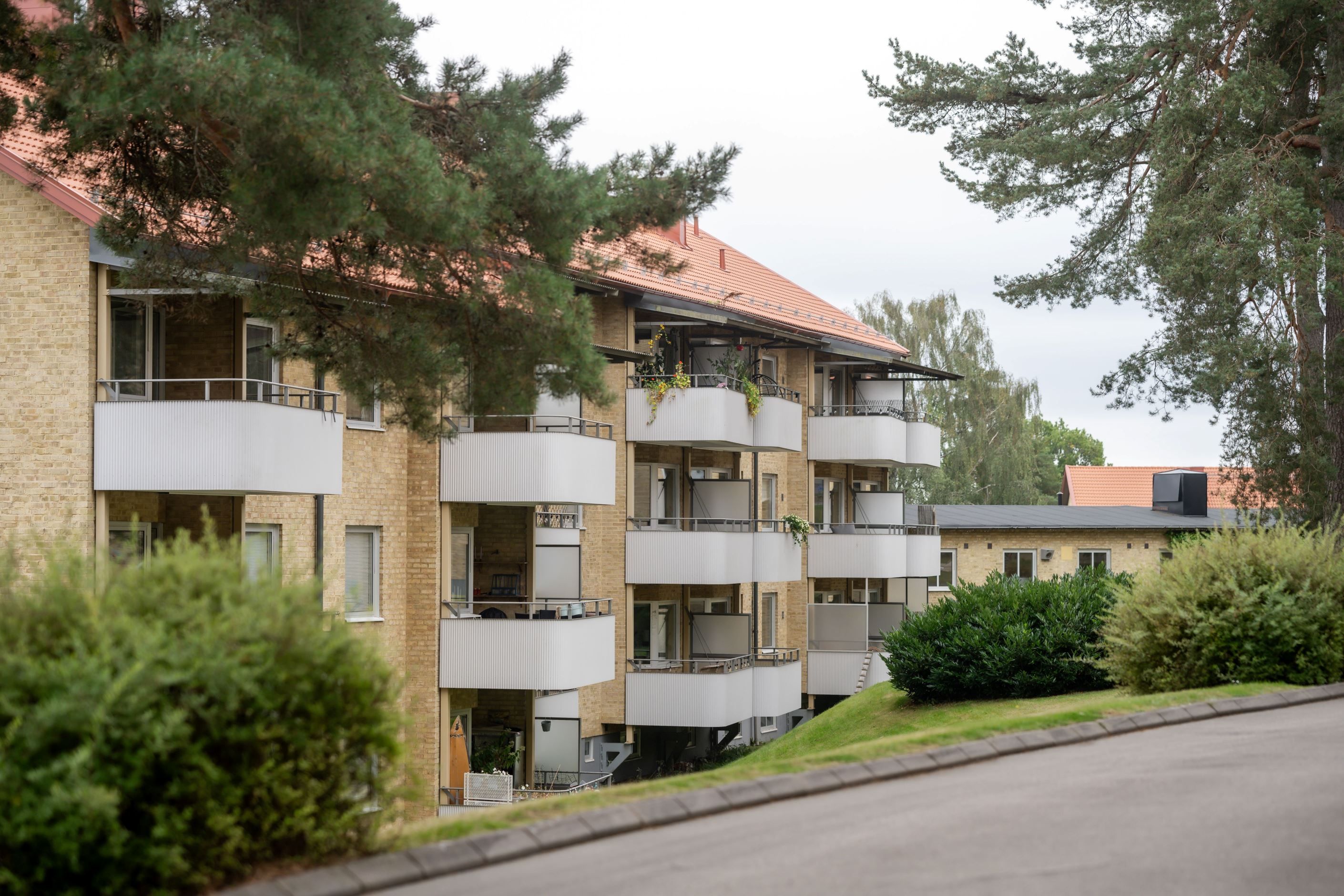Exteriör