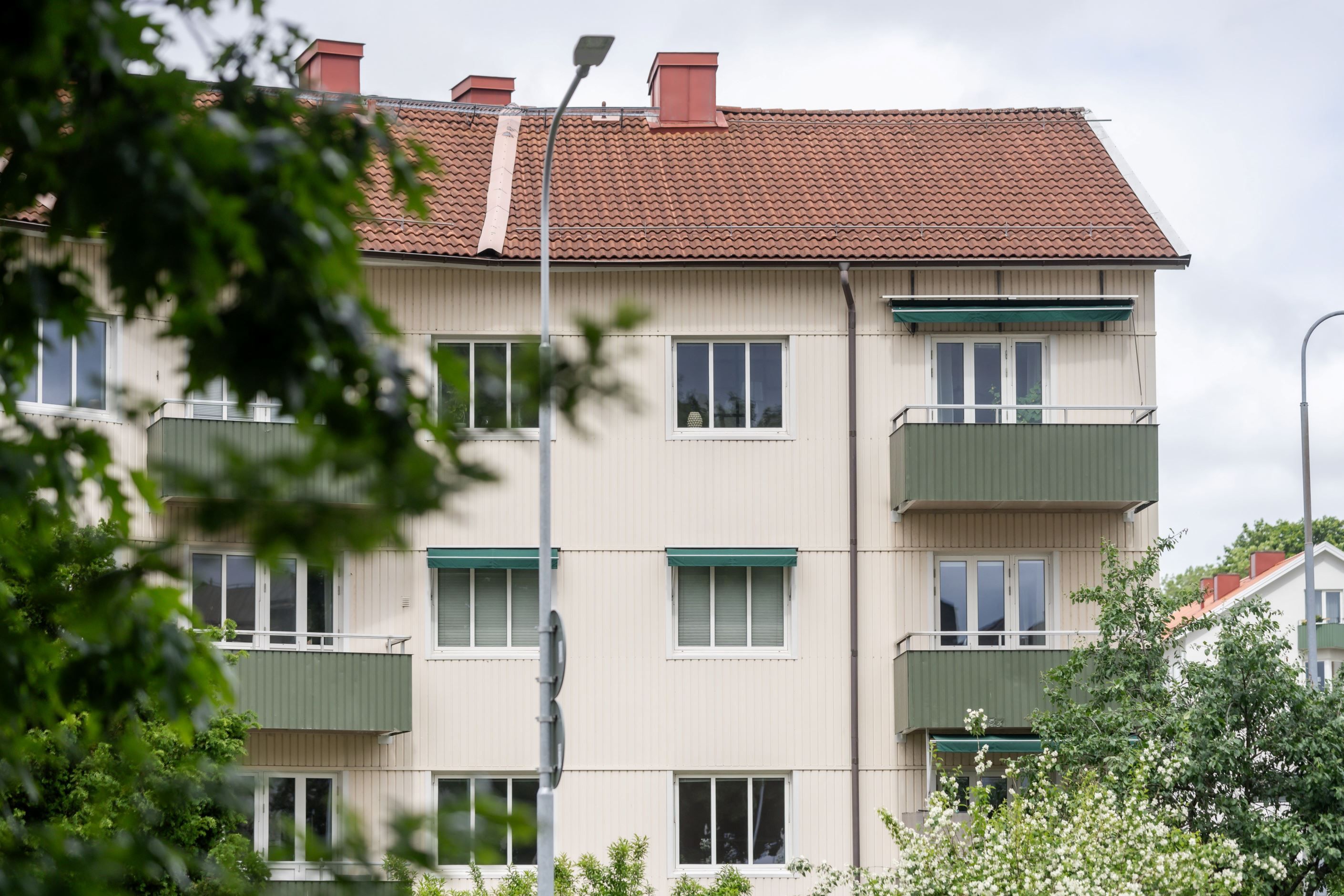 Exteriör