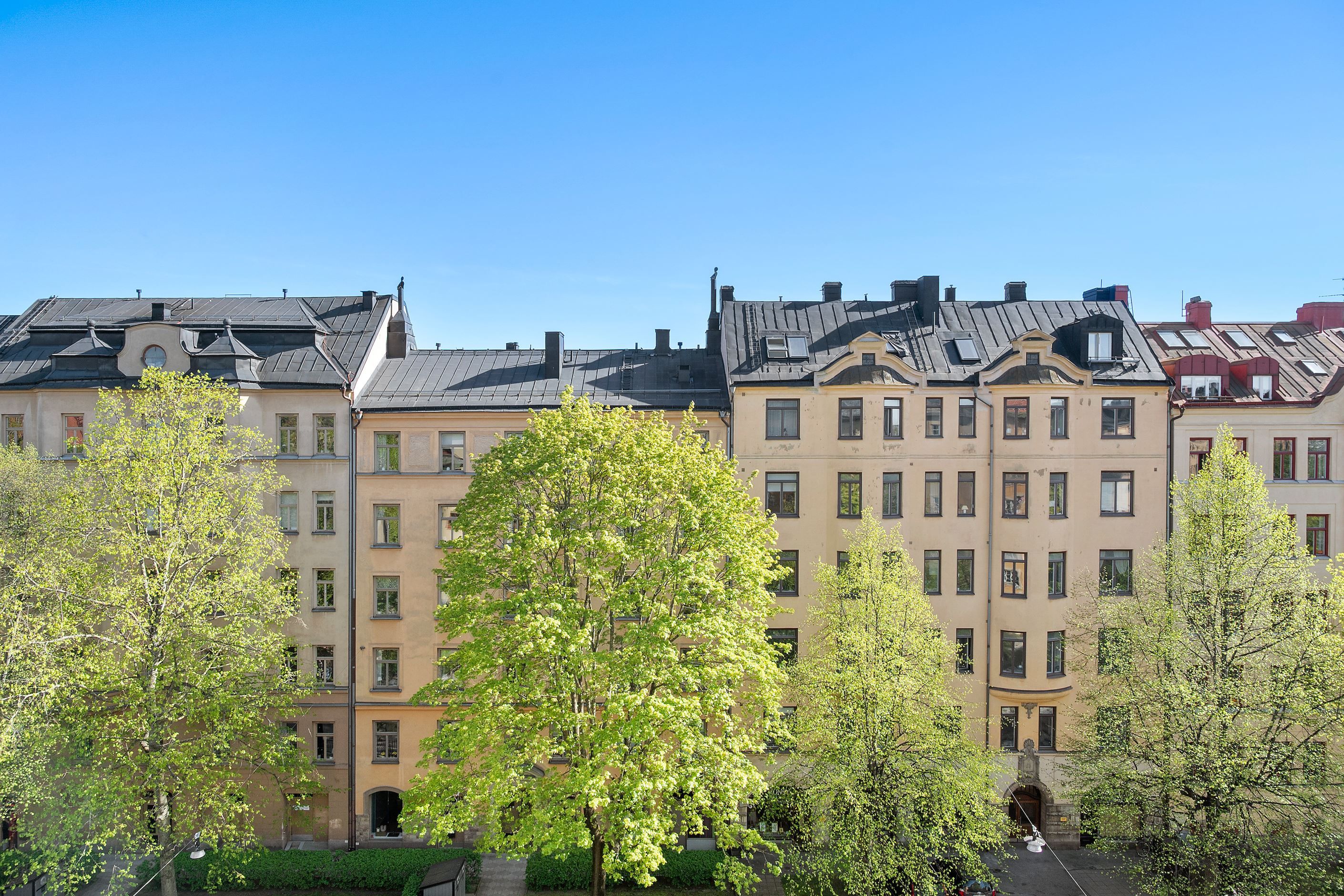 Utsikt