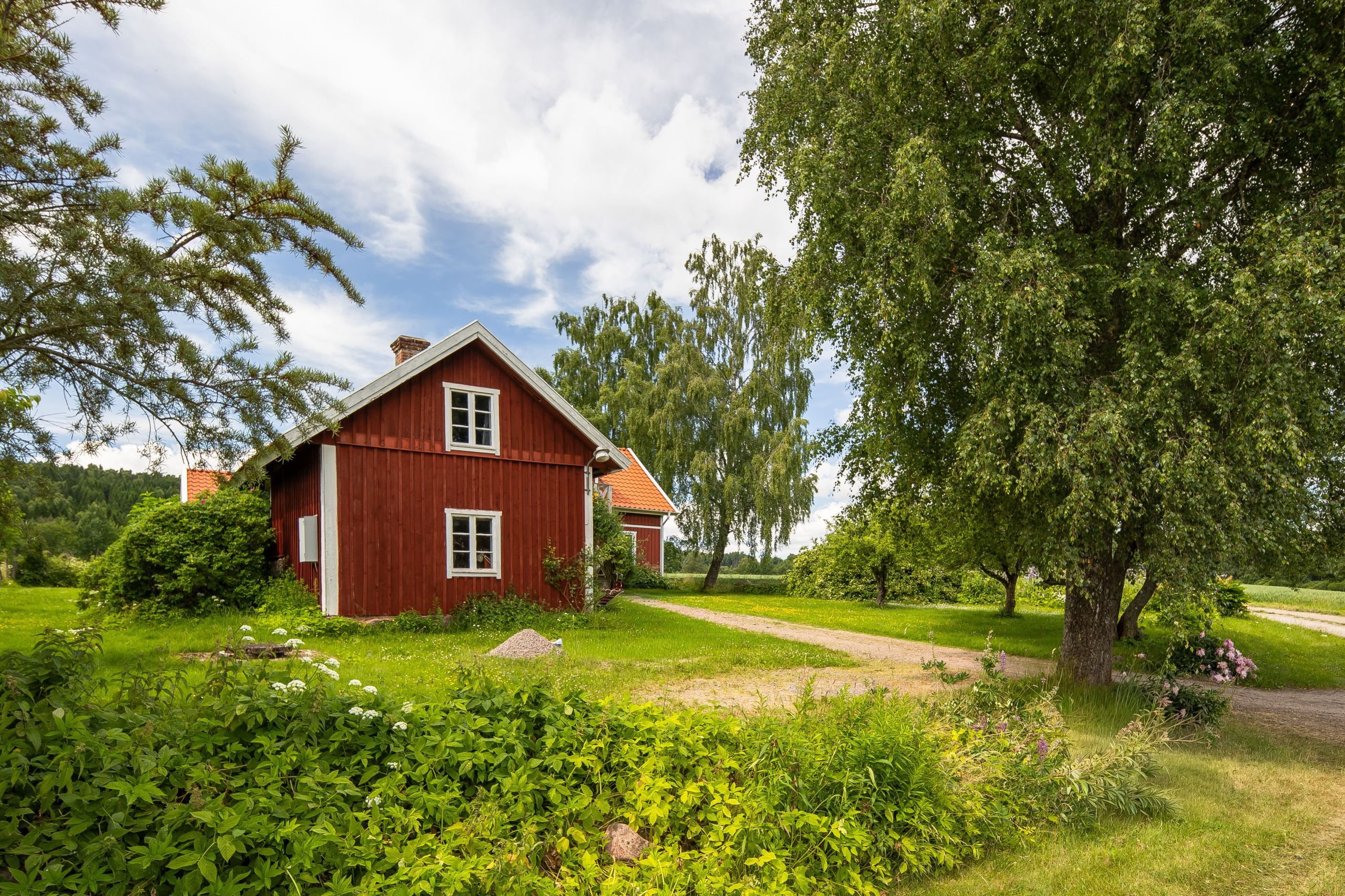 Bildkategori