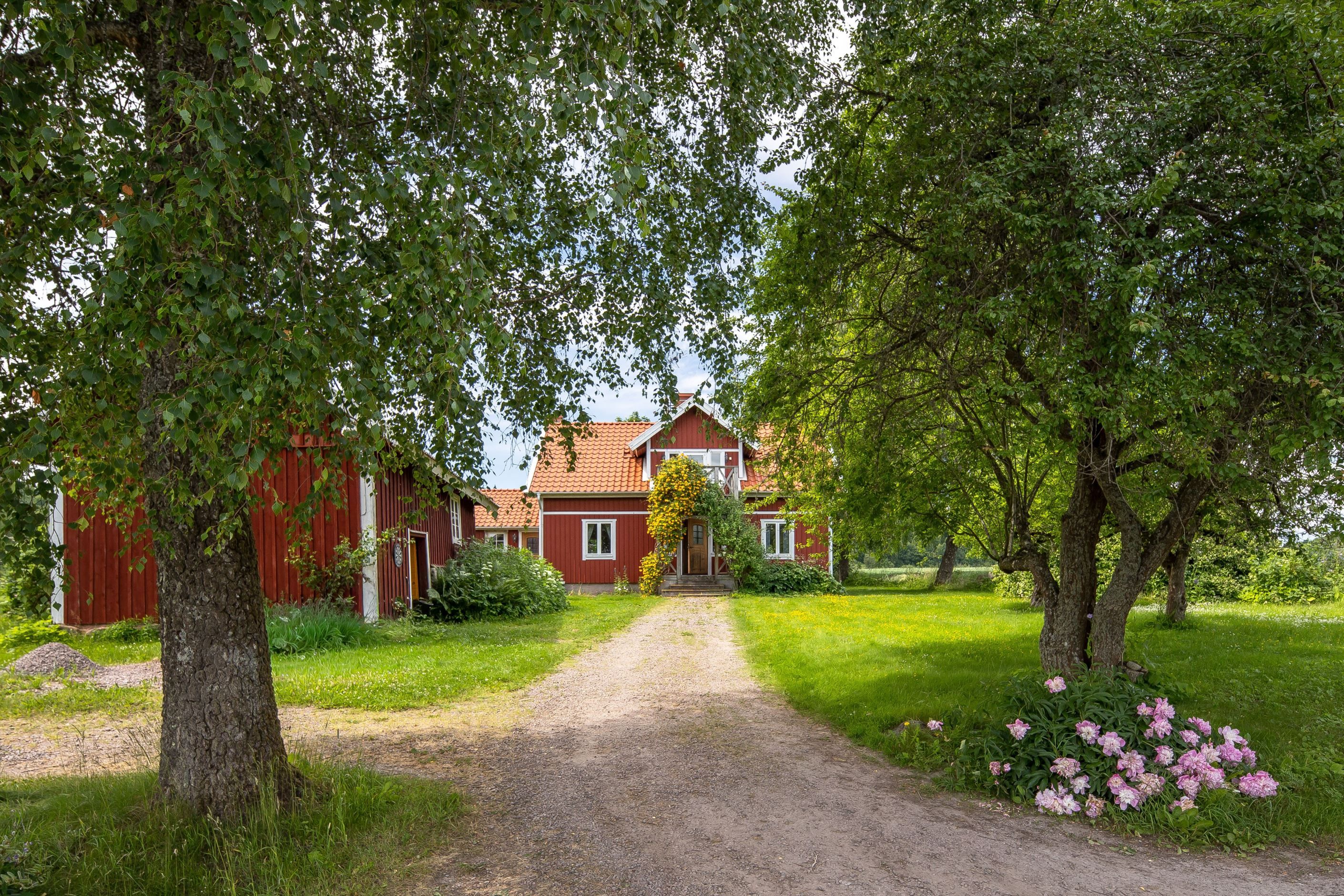 Bildkategori