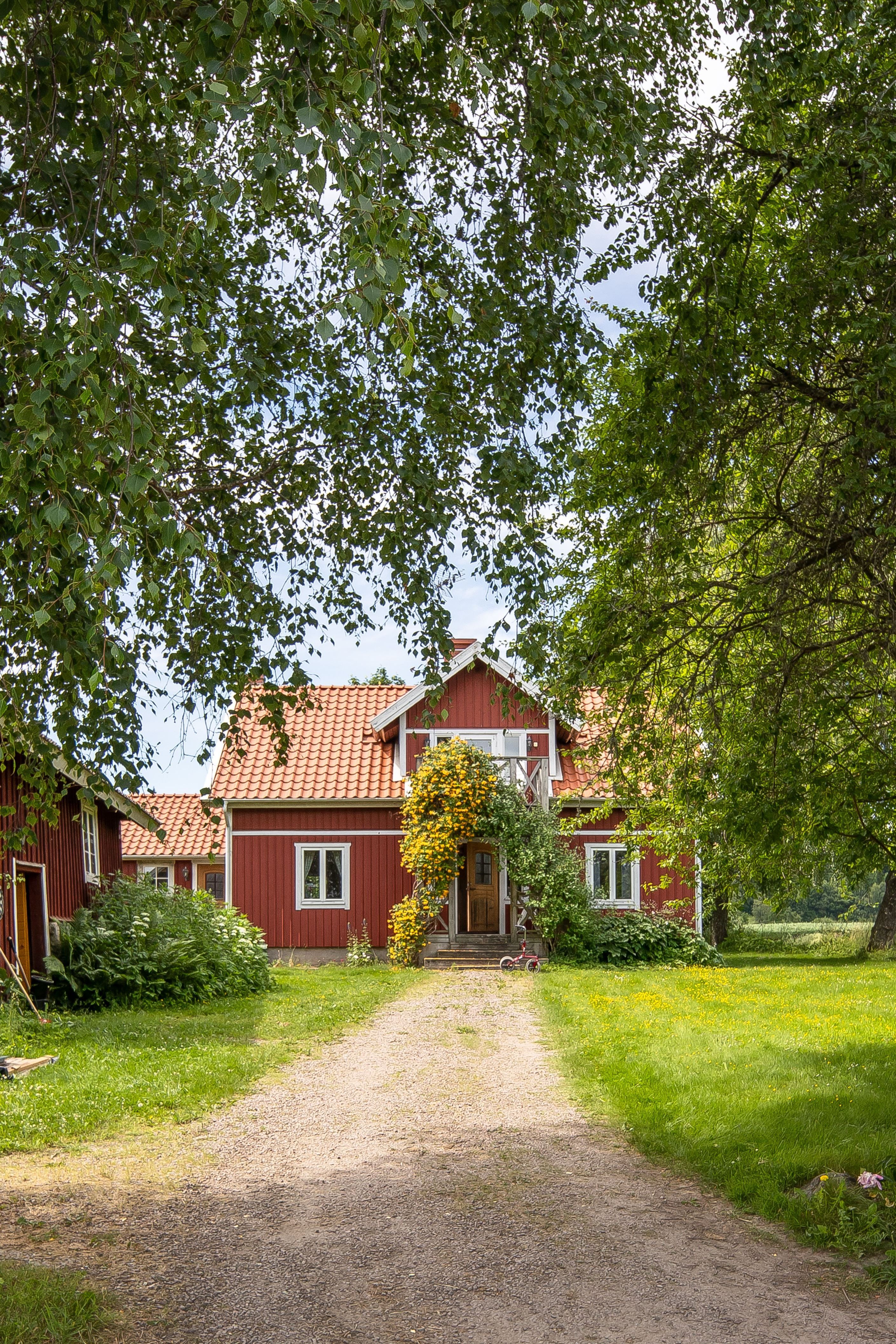 Bildkategori