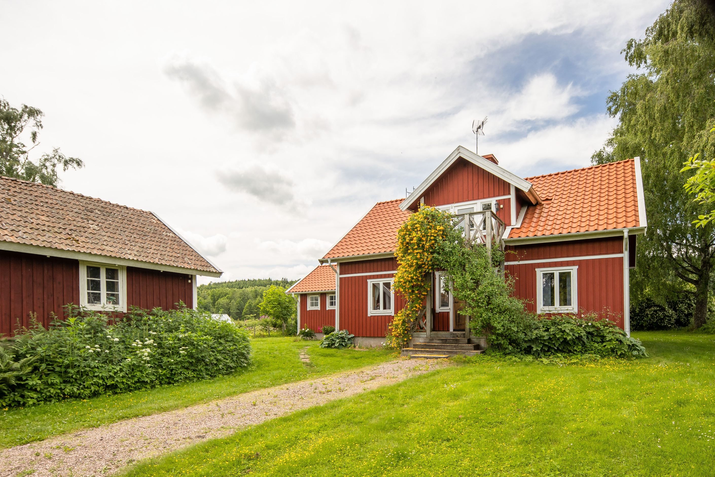 Bildkategori