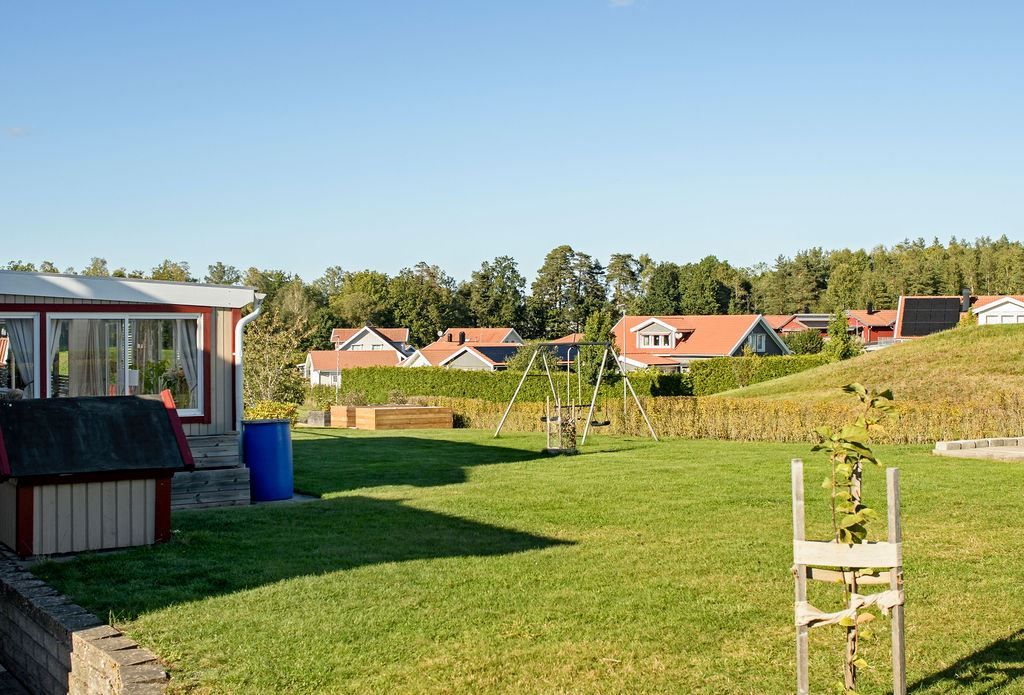 Trädgård