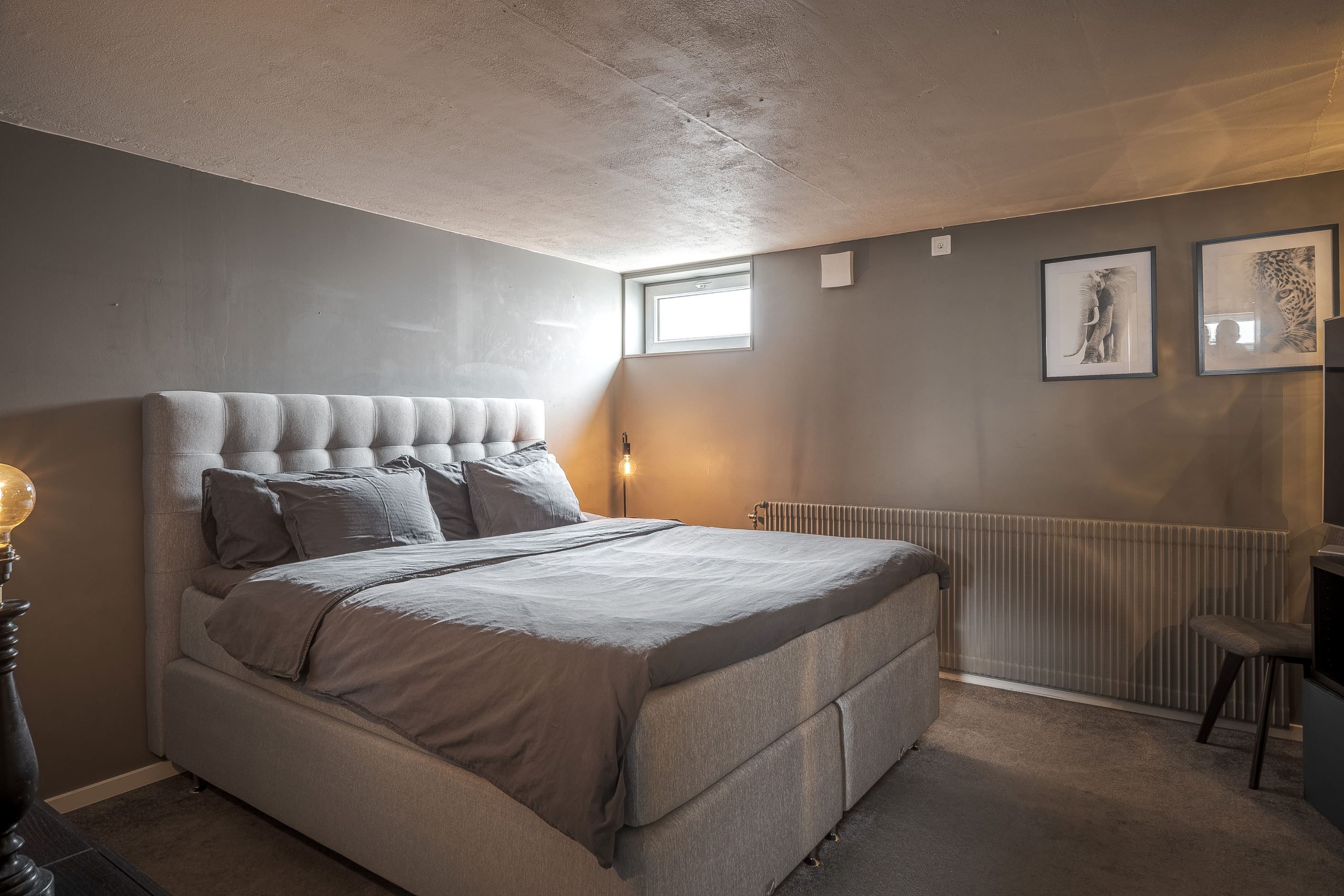 Allrum på nedre plan