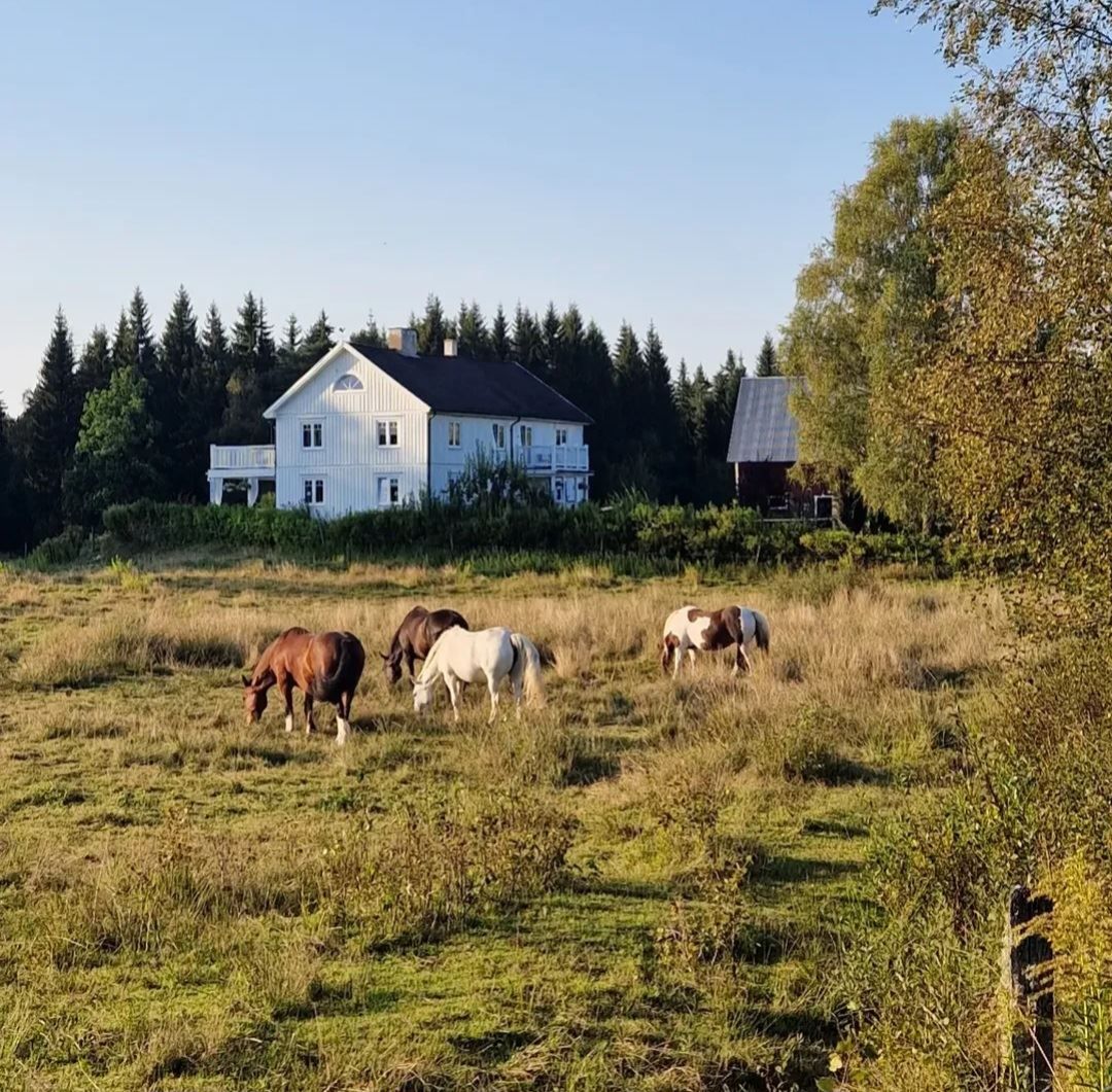 Säljarens bilder