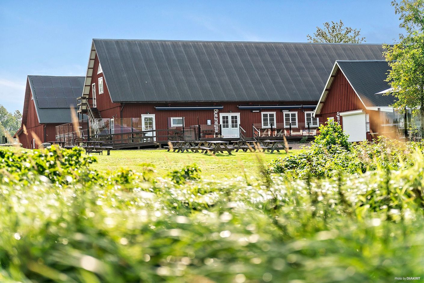 Tiraholms Fisk
