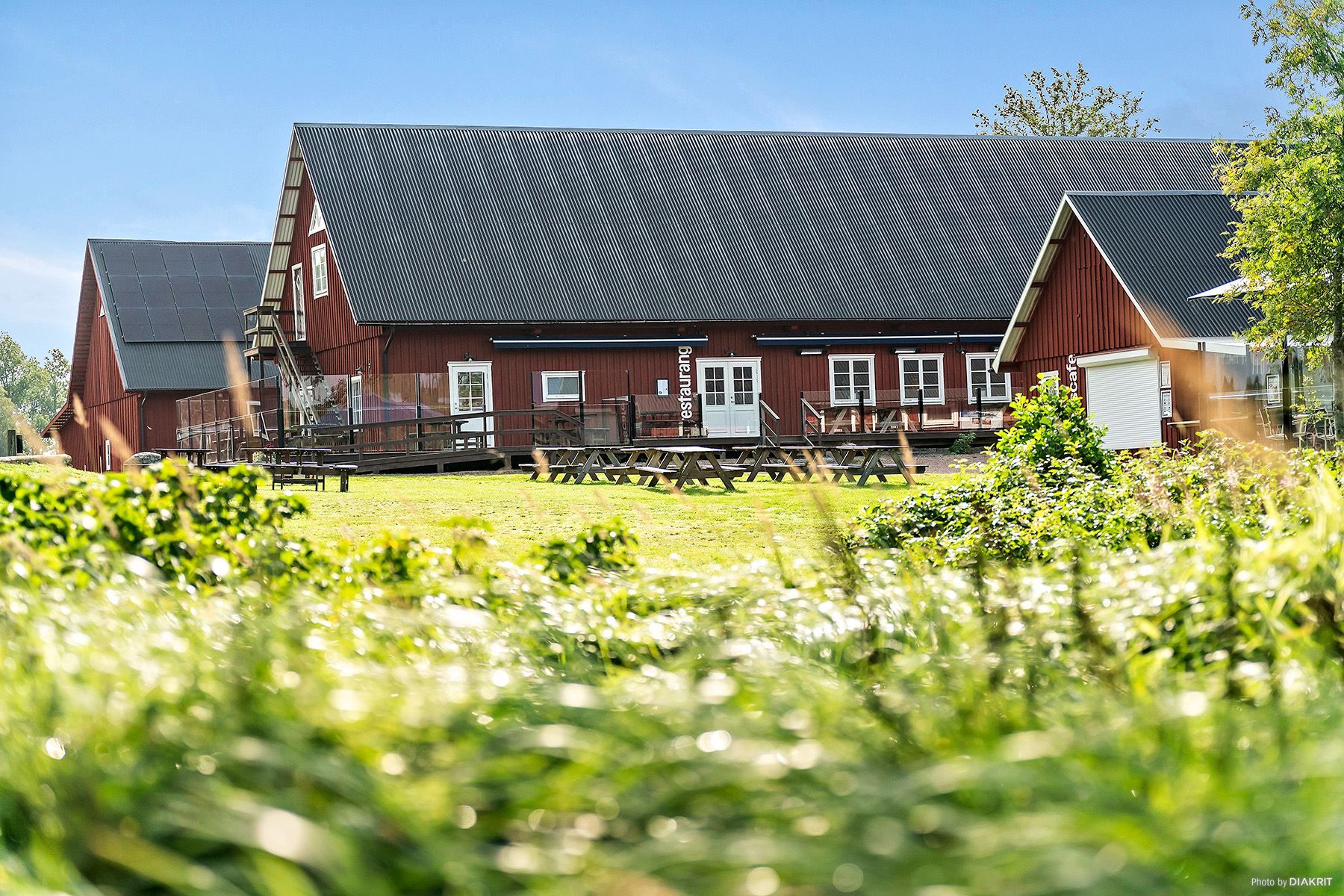 Tiraholms Fisk