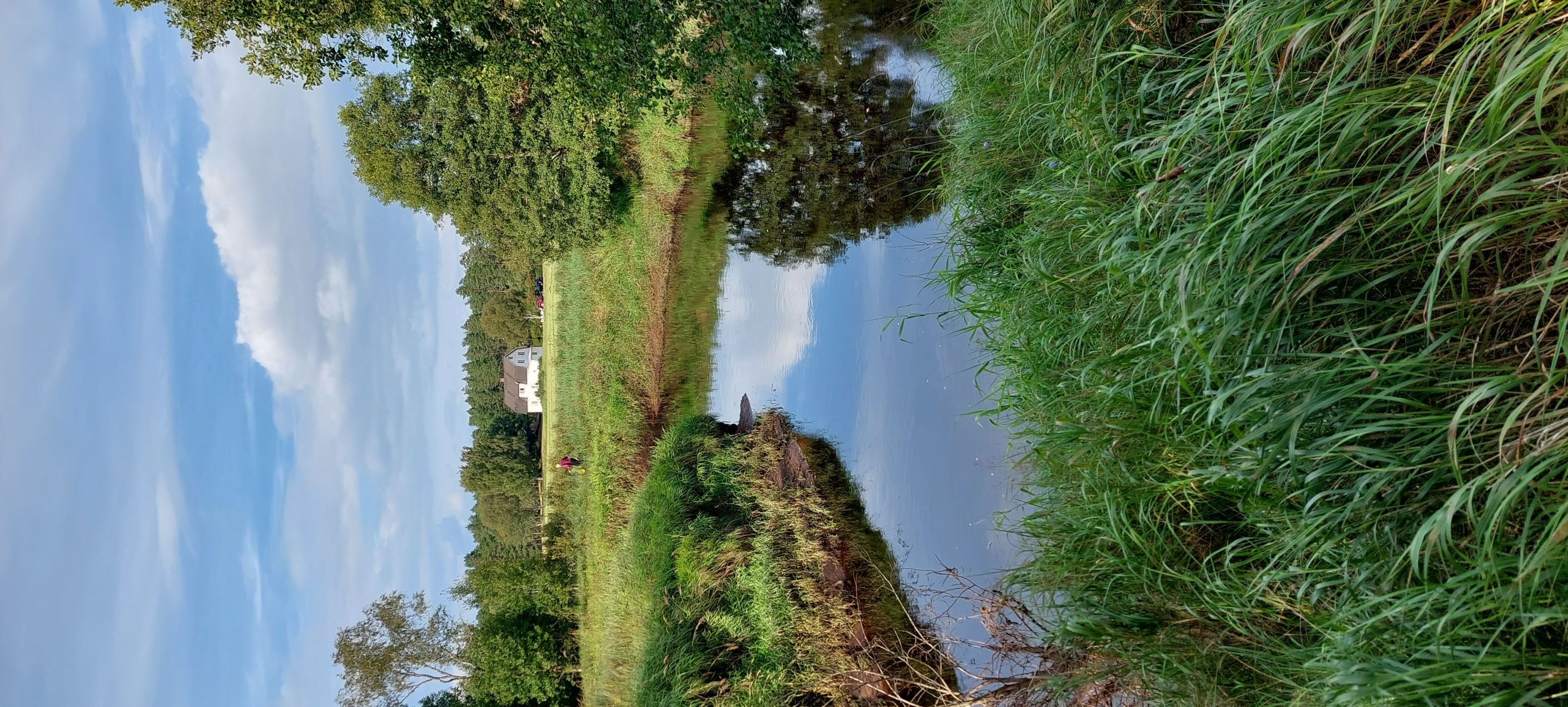 Säljarens egna bild