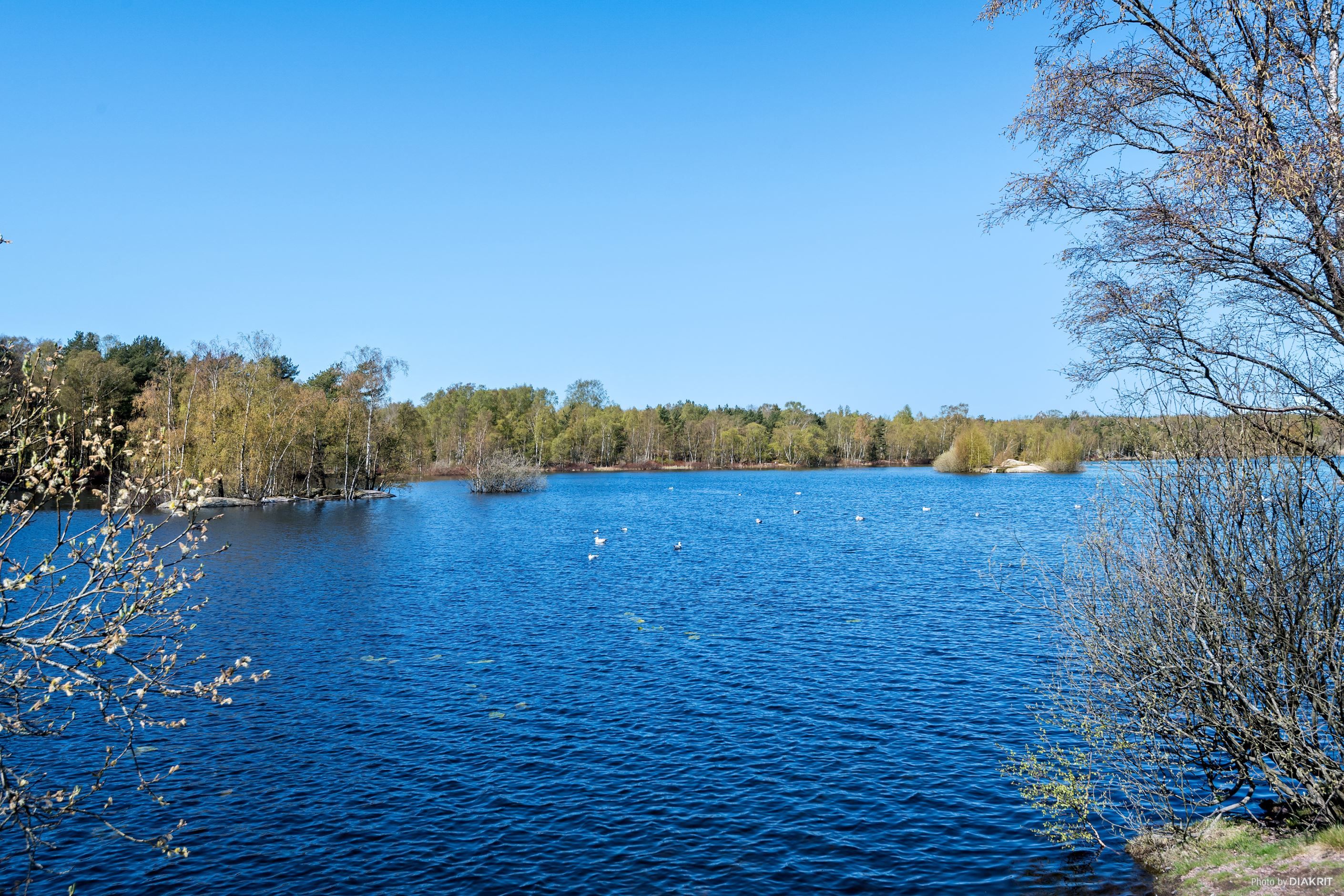 Omgivningen