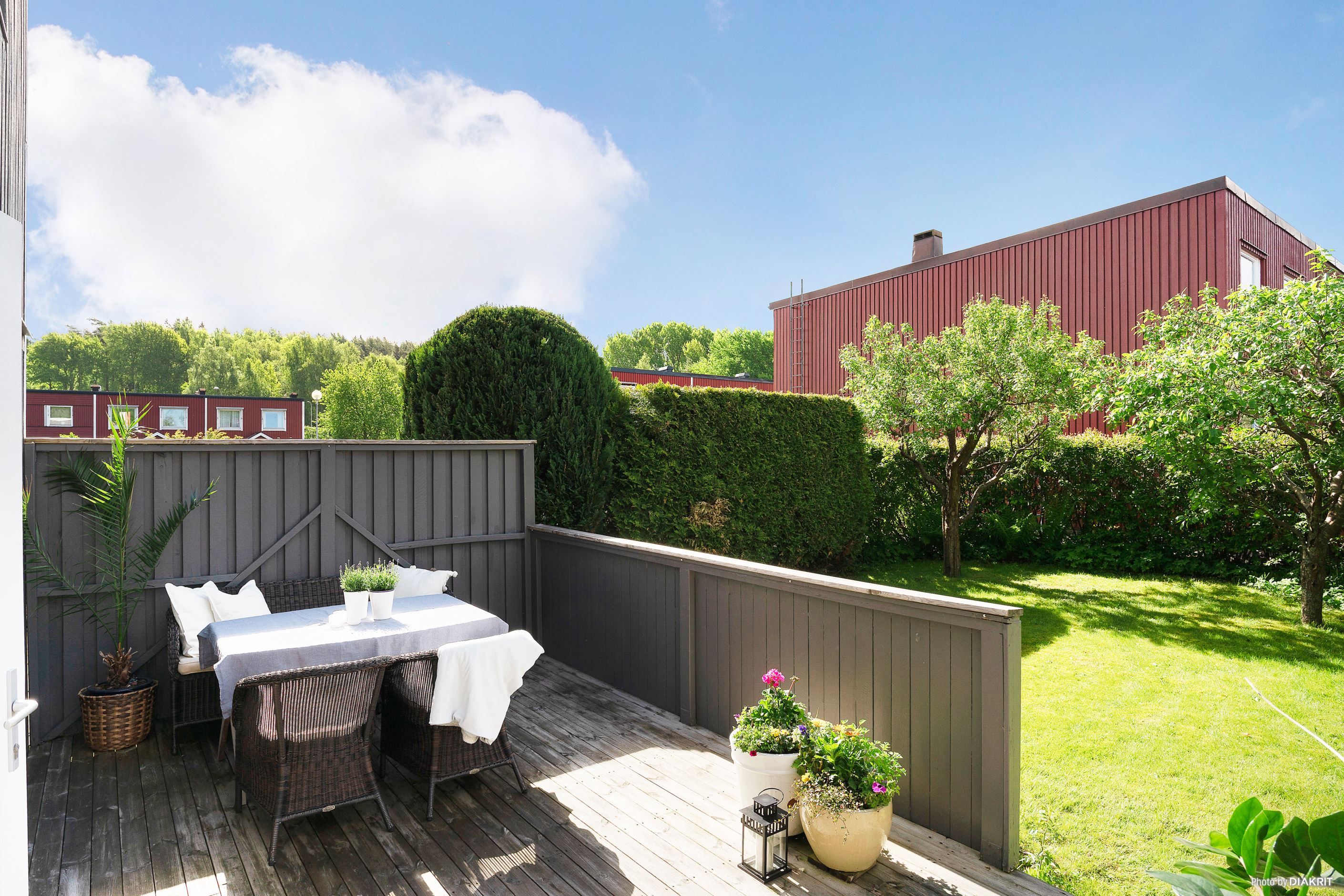 Soldränkt uteplats omgiven av grönska.