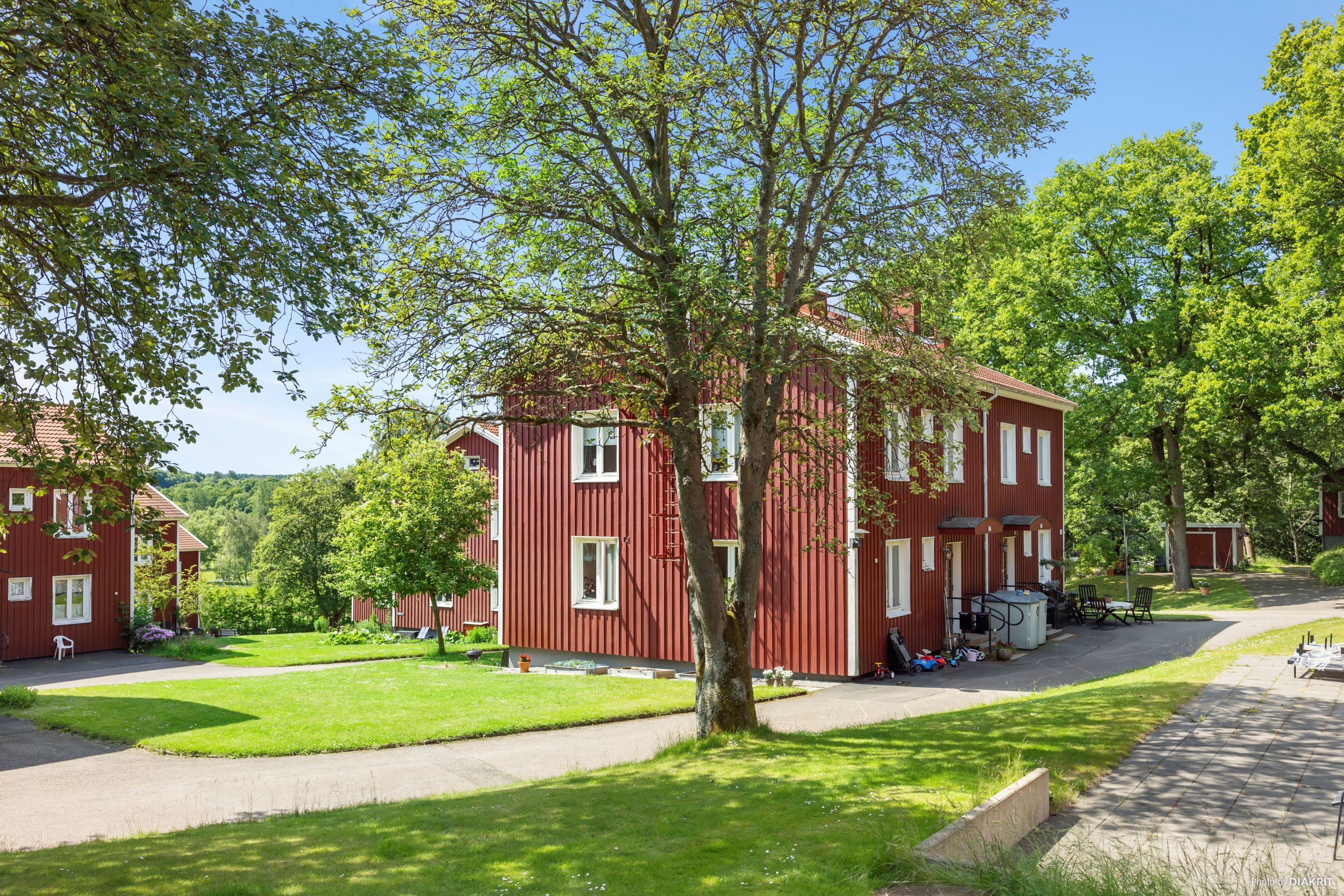 Omgivningen