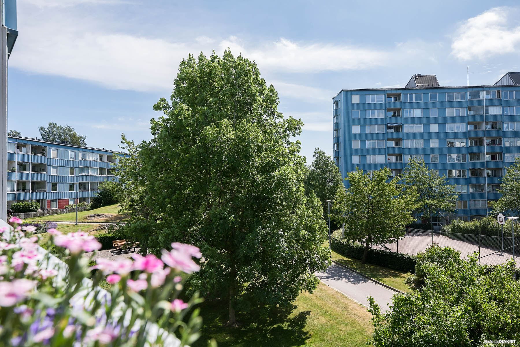 Grönskande utsikt från balkongen