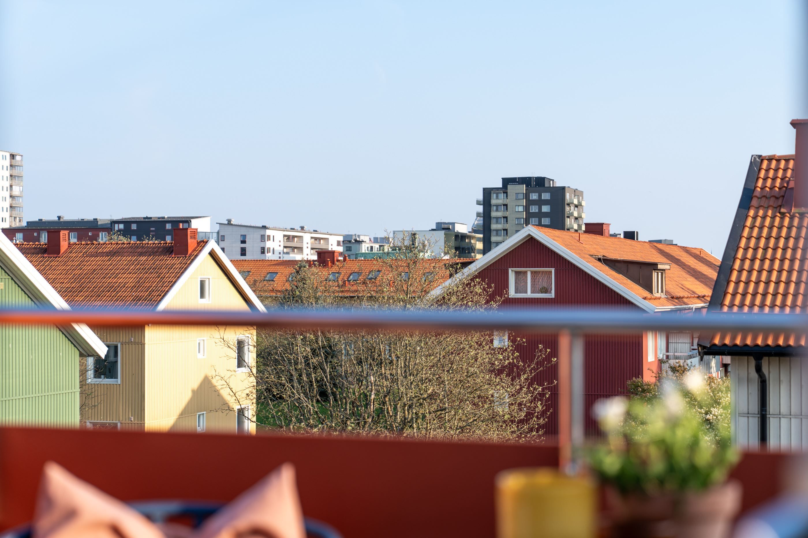 Utsikt över takåsarna