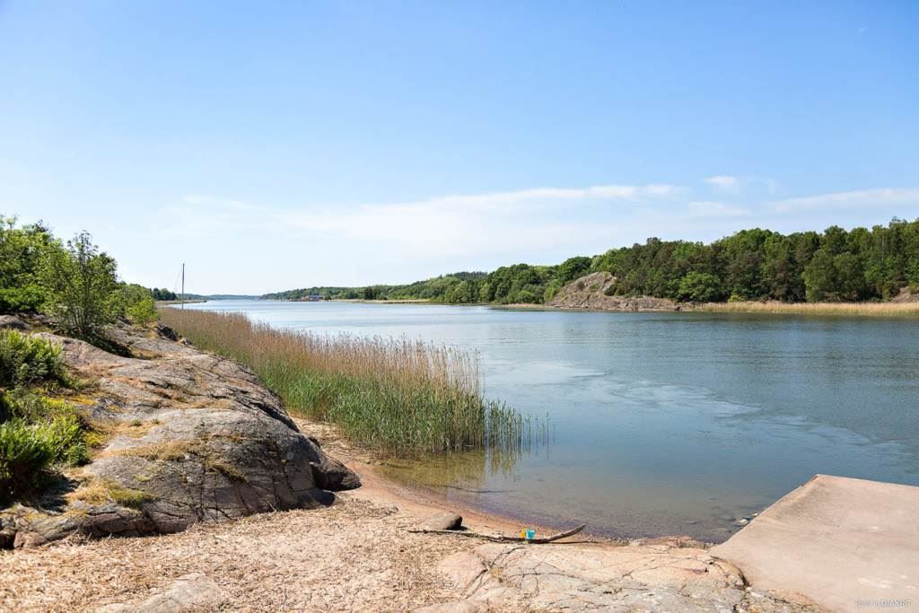 Älvleva badförening