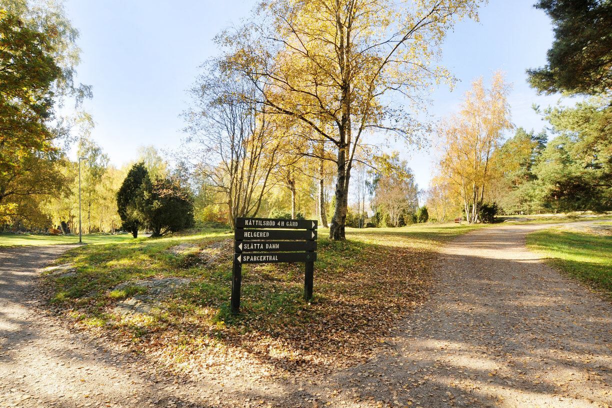 Hisingsparken med fina promenader och joggingstråk