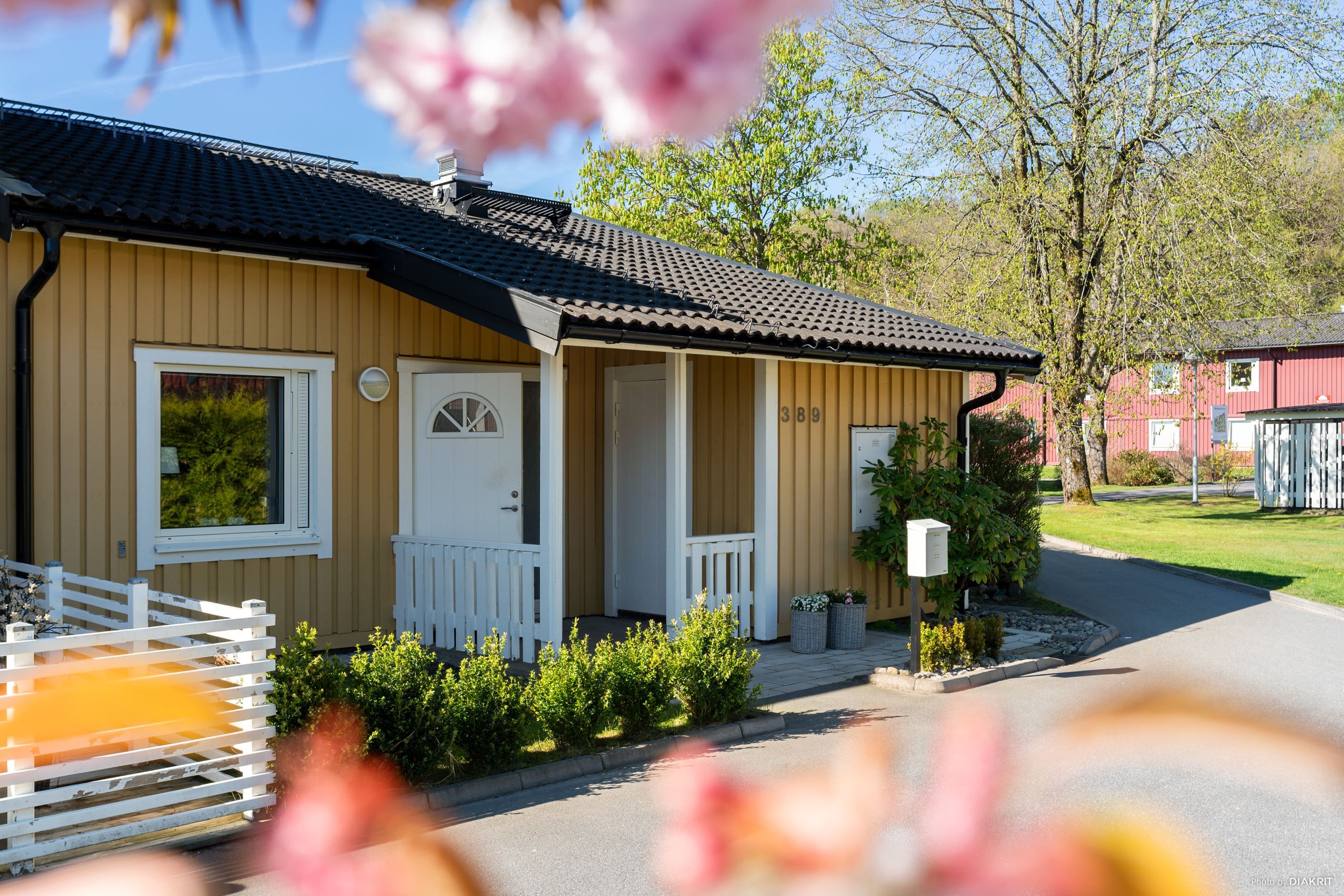 Exteriör