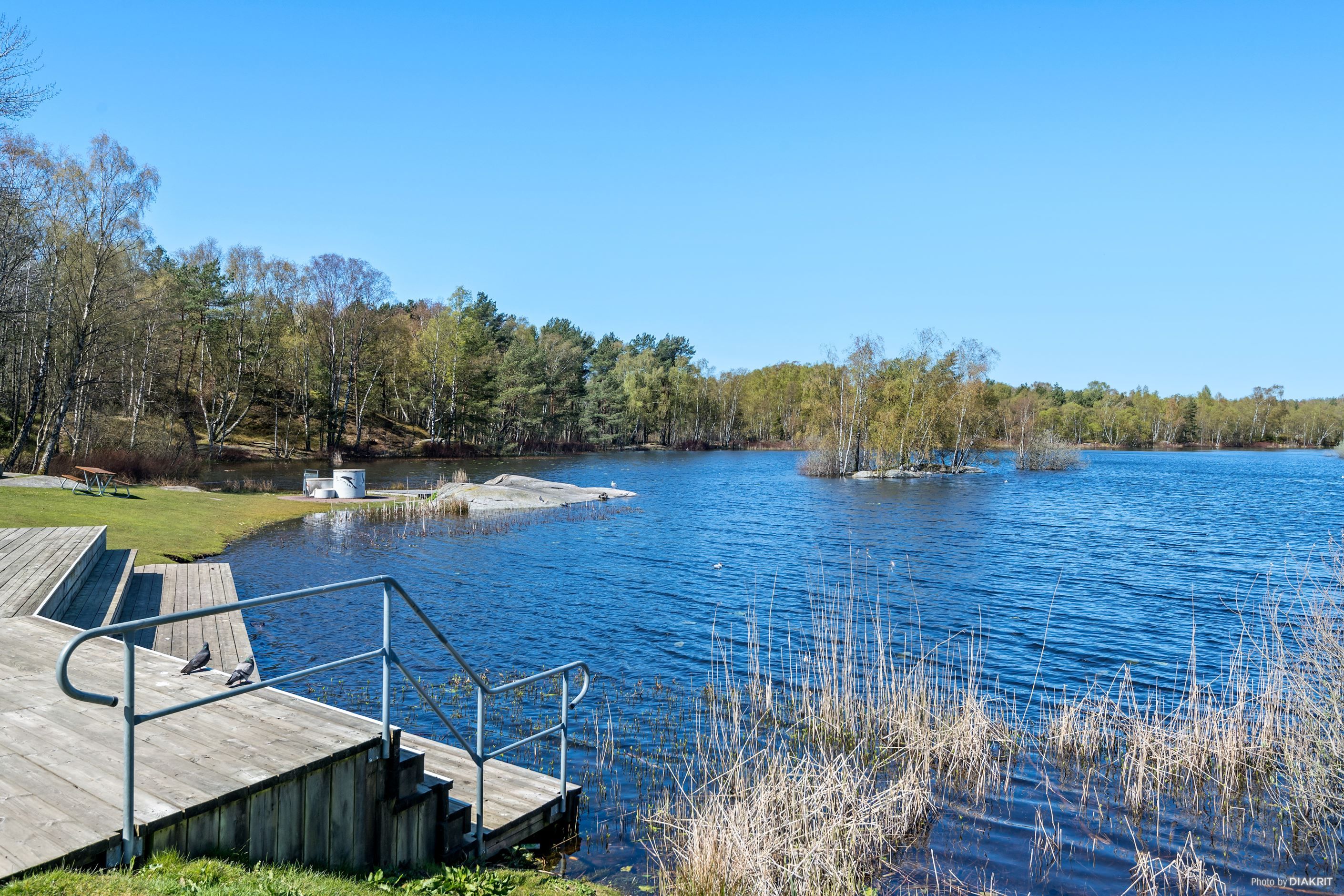 Närområde